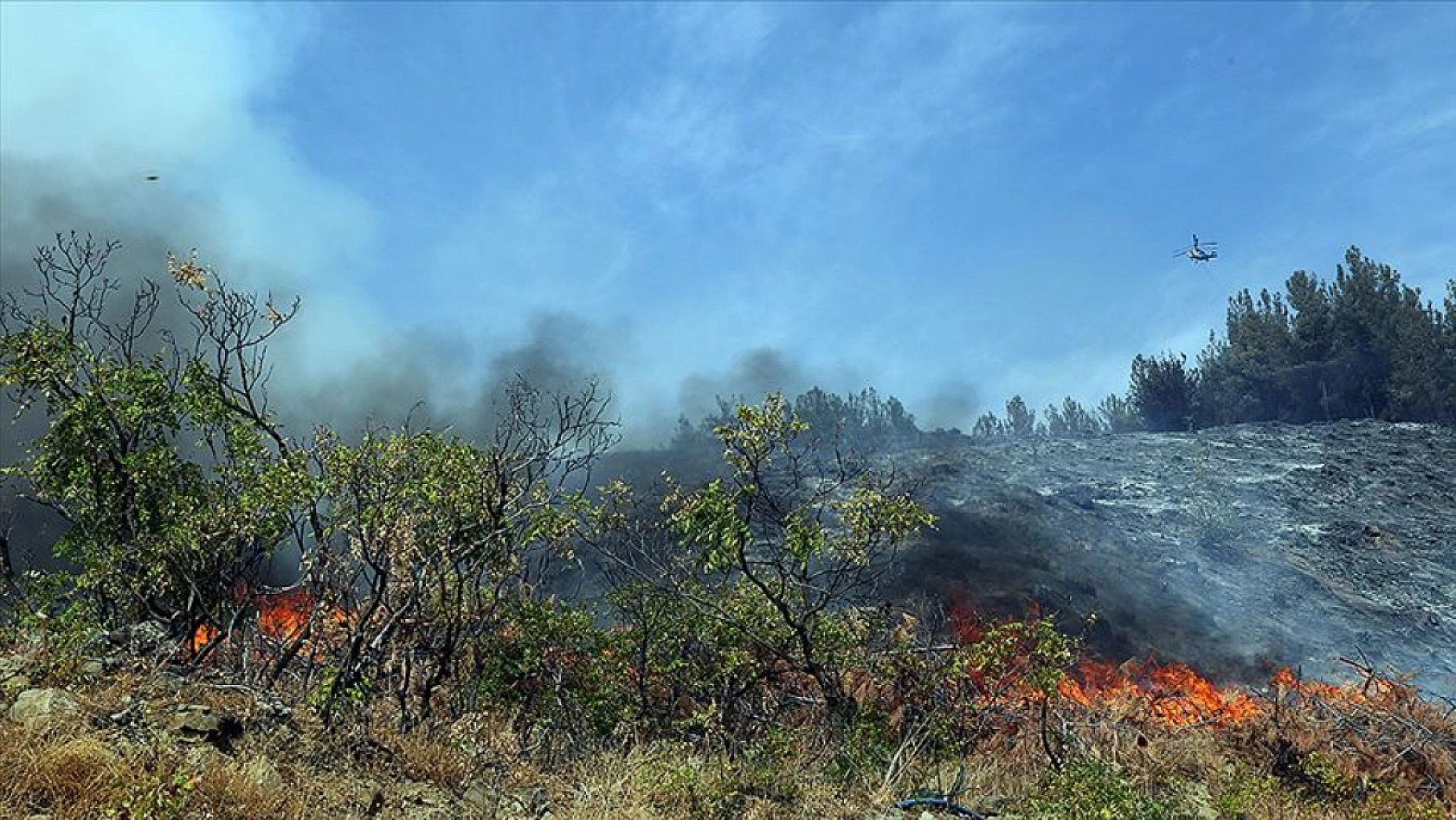 13 İlde Yangının Bilançosu Ağır: Hangi İle Ne Kadar Destek Verildi?