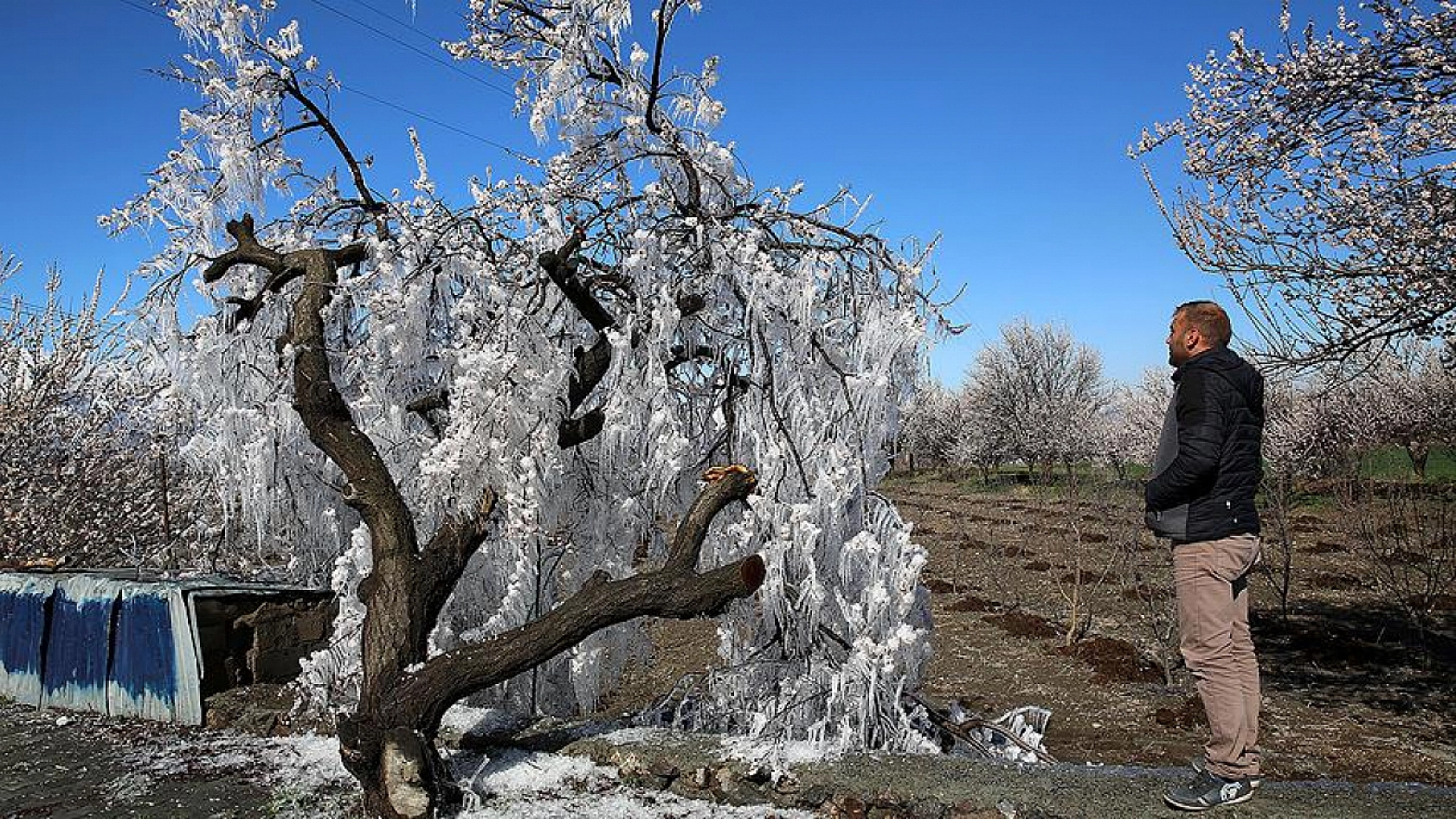 Liste yenilendi! Tarladan sofraya fiyat farkı derinleşiyor. Kuru Kayısı ilk 20'ye yükseldi