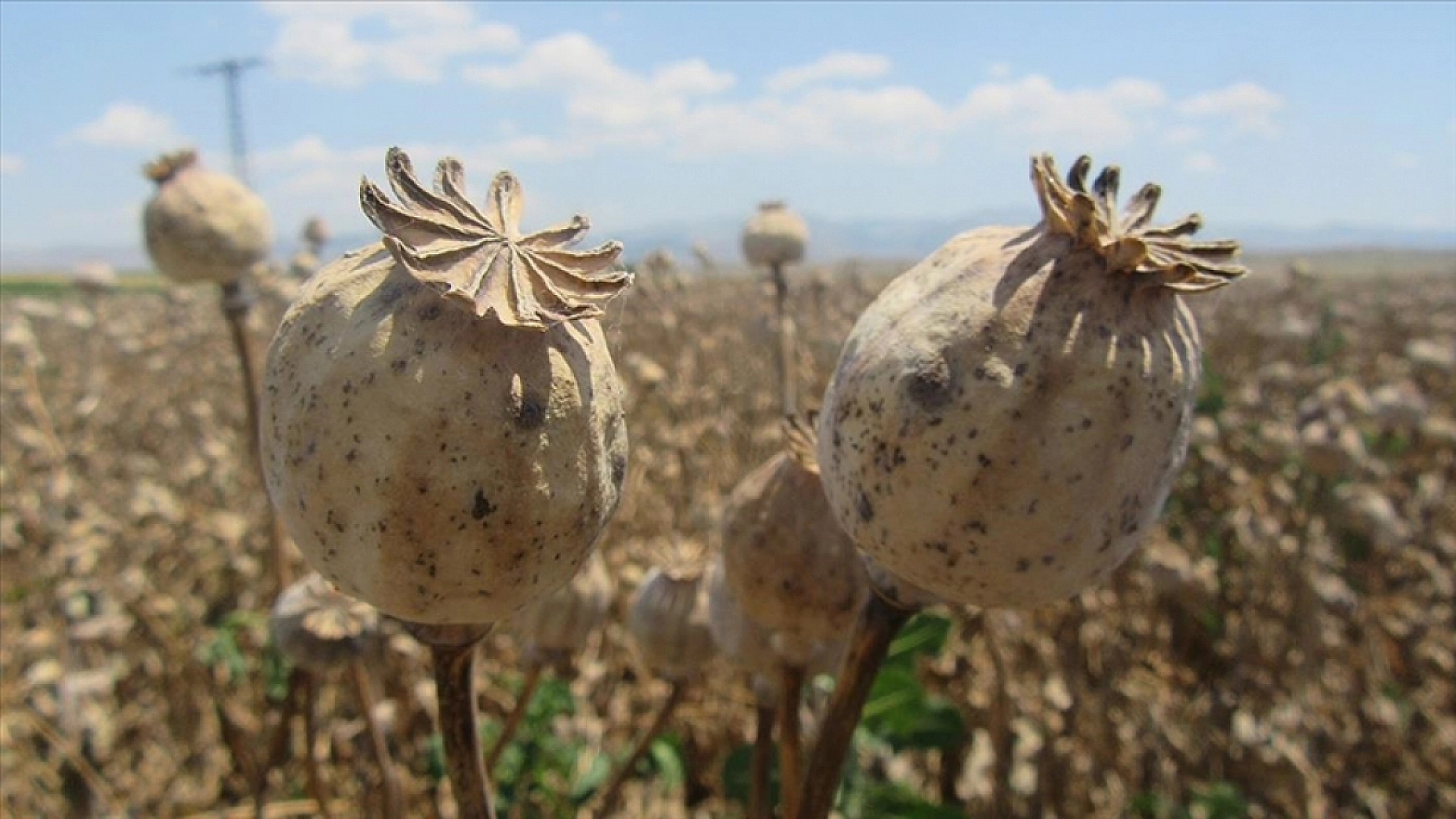 Dondan etkilenen Malatya zirveyi kaptırdı: İşte 2025 yılının enleri!
