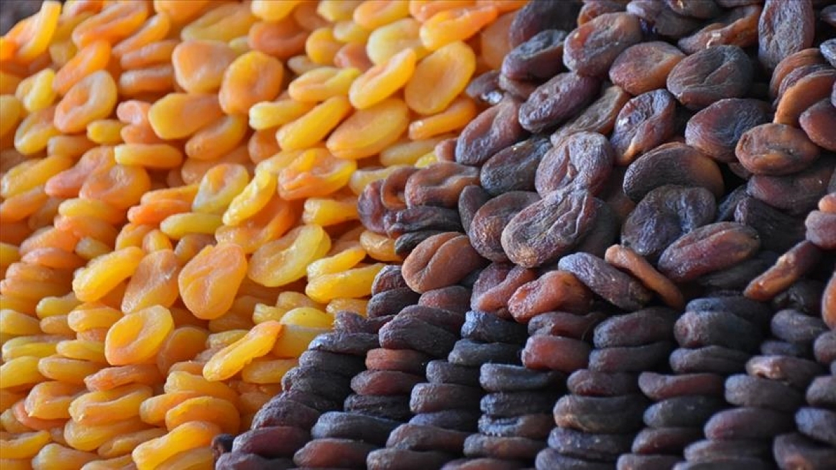 Kuru kayısıda ihracat arttı, gelir azaldı: birim fiyatları yüzde 15 geriledi