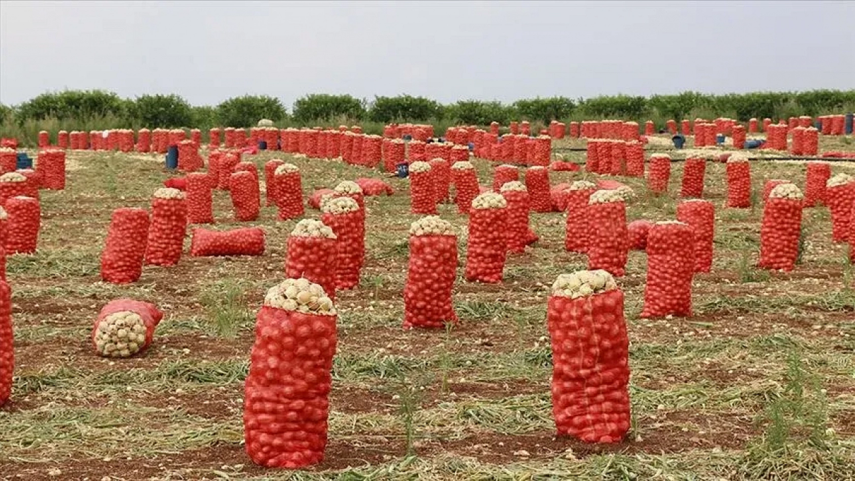Mutfak ve sanayi girdilerine yeni düzenleme: Gümrük vergileri sil baştan!