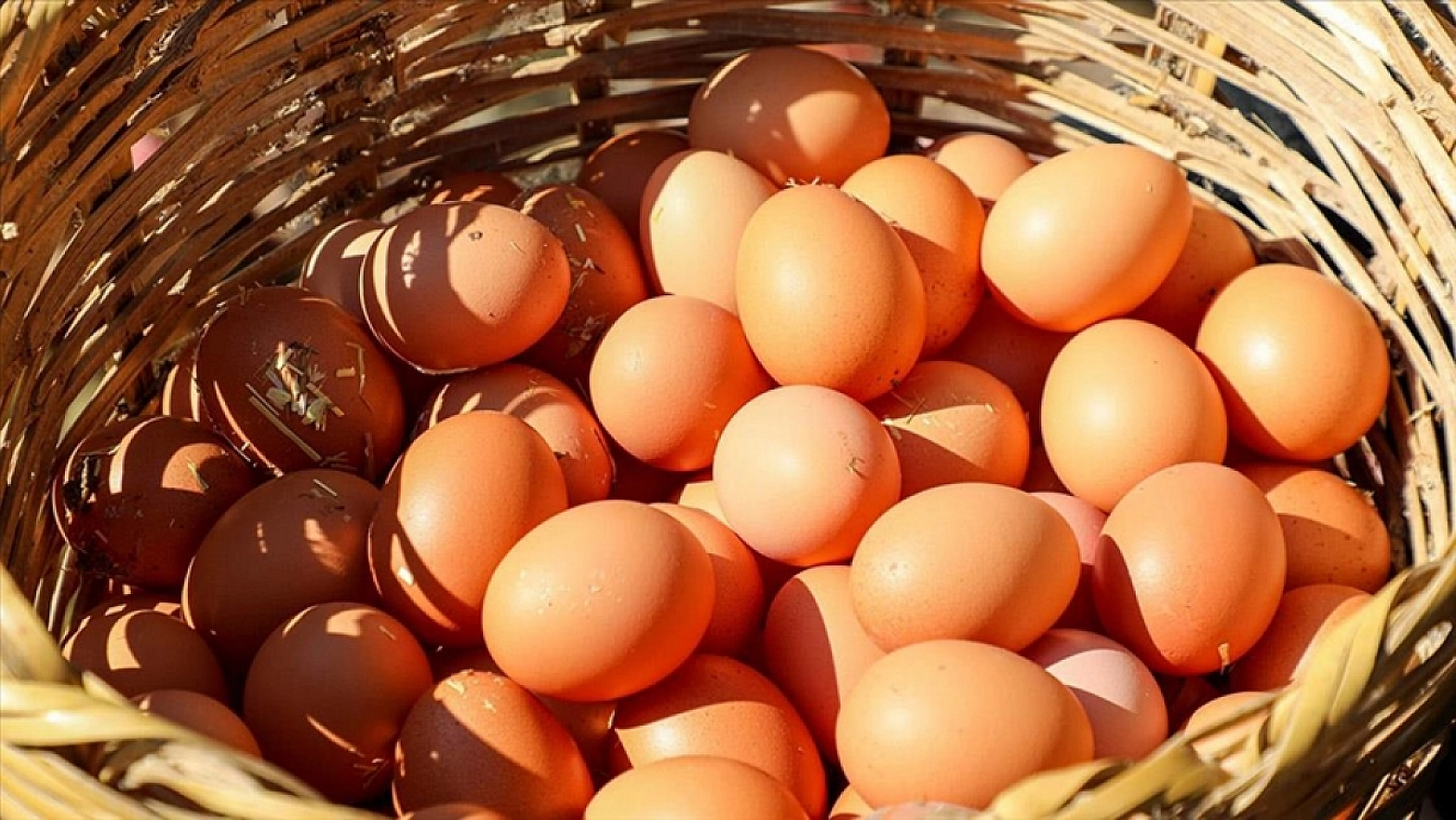 Kırmızı et alamayan vatandaş beyaz ete yöneldi: Üretim yüzde 6,9 arttı