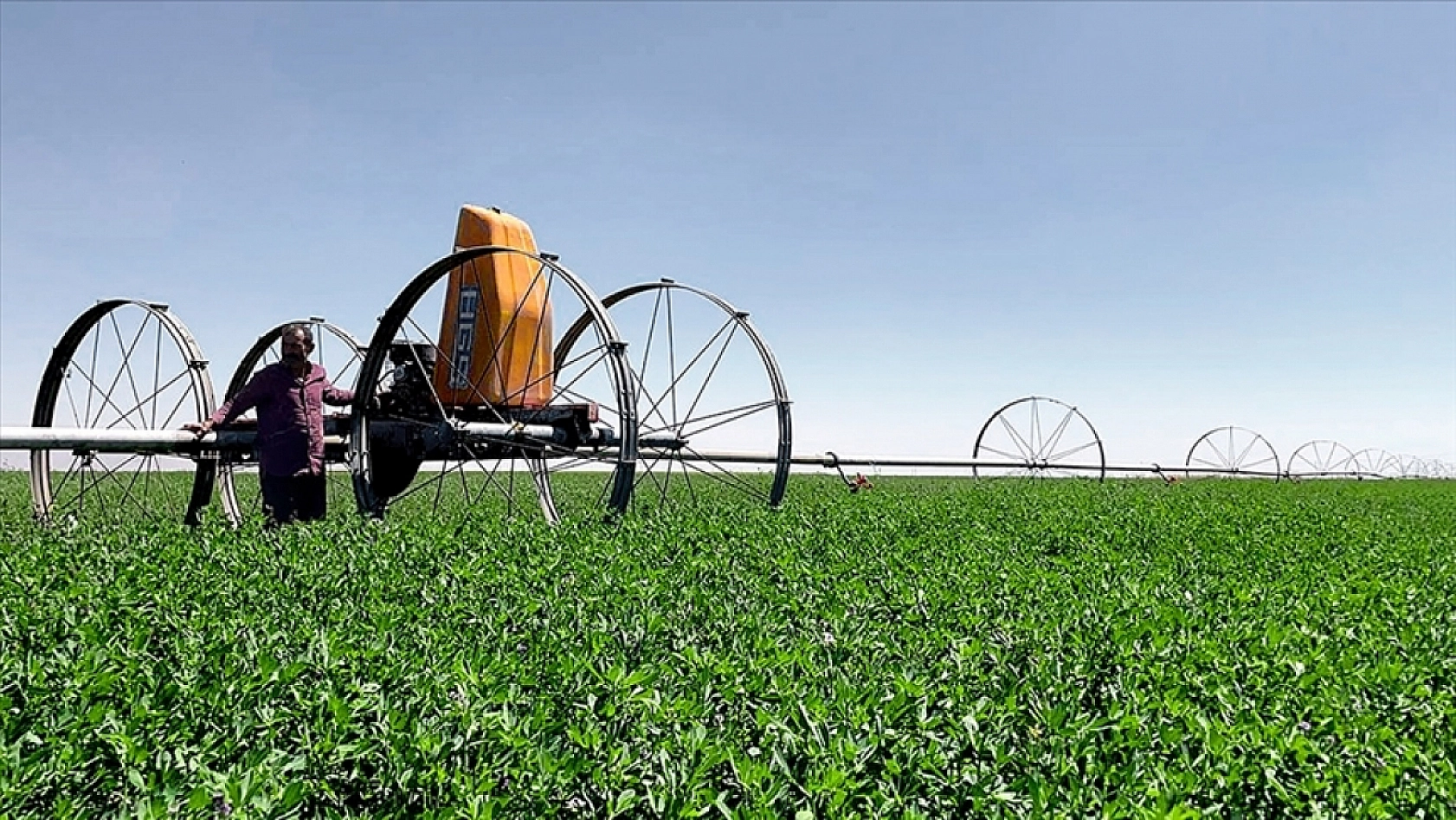 Vatandaşın beklediği ödemeler geldi: Bakanlık hesaplara tek tek yatırmaya başladı…