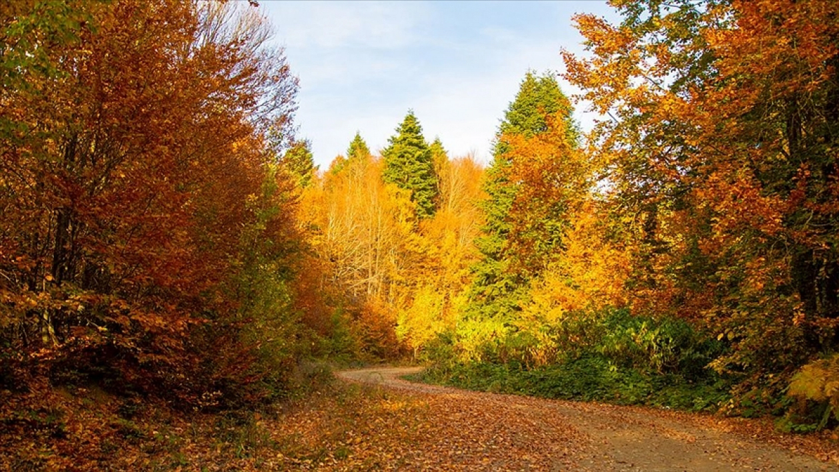 Malatya'da sonbahar kendini gösterdi: İlçelerde sıcaklıklar kaç derece?