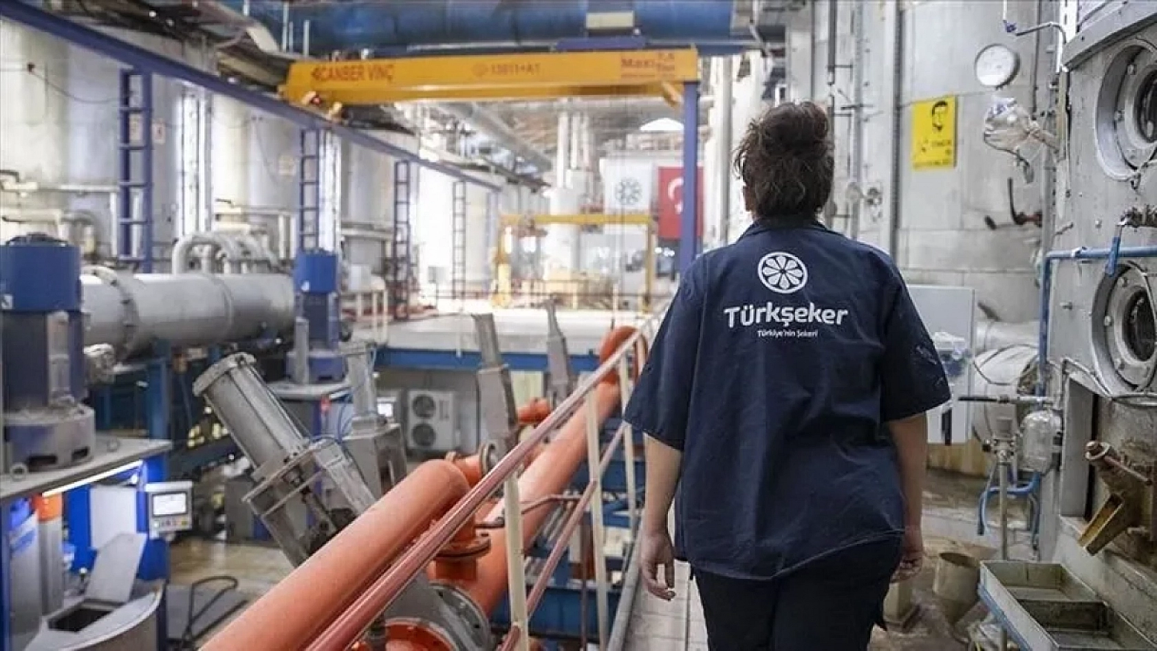 TÜRKŞEKER 182 sürekli işçi alımı başladı: Başvuru şartları ve kontenjan dağılımı