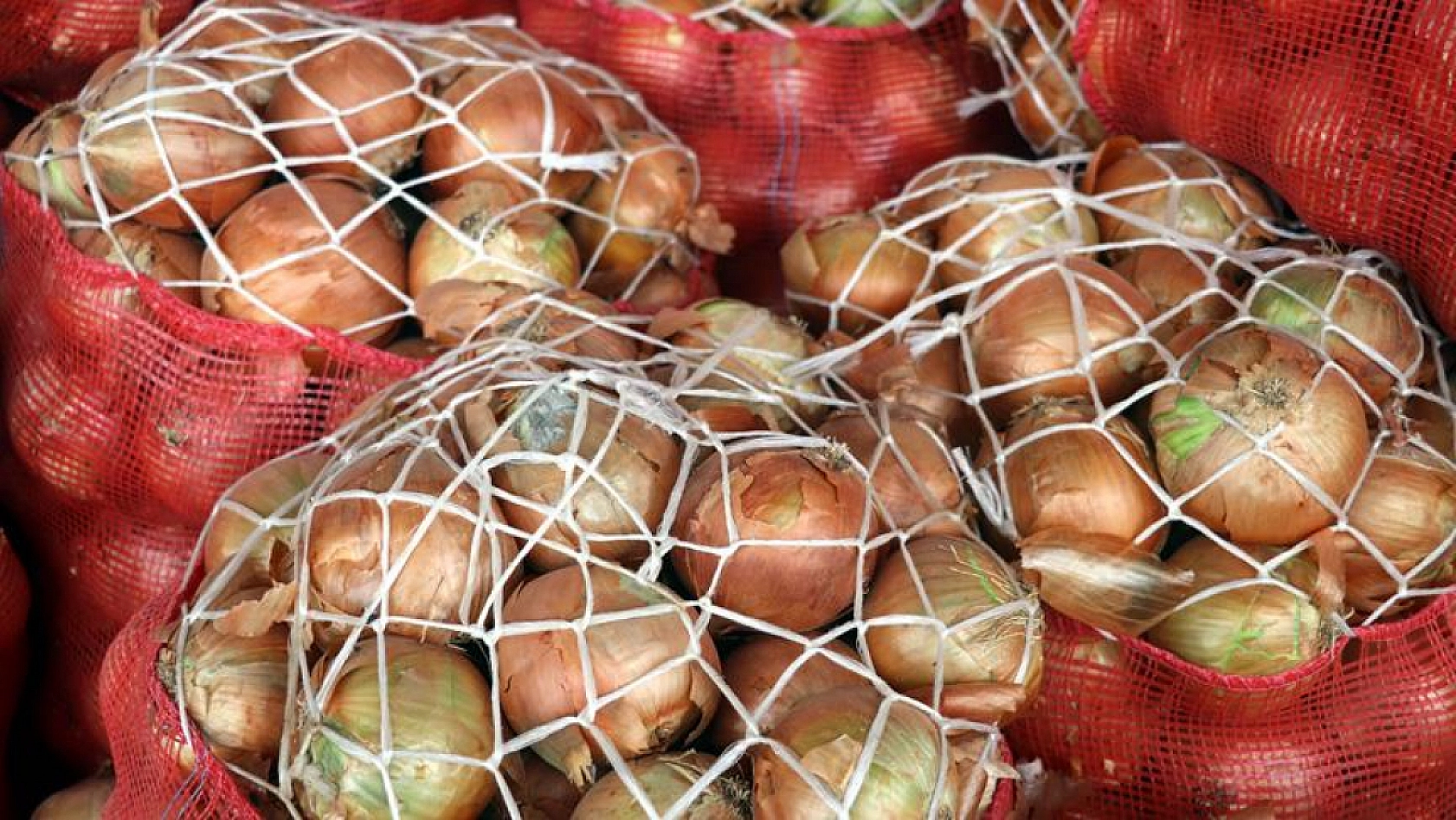 Malatya Hal Pazarı fiyatları açıklandı: Zamlar etiketlere yansıdı mı?