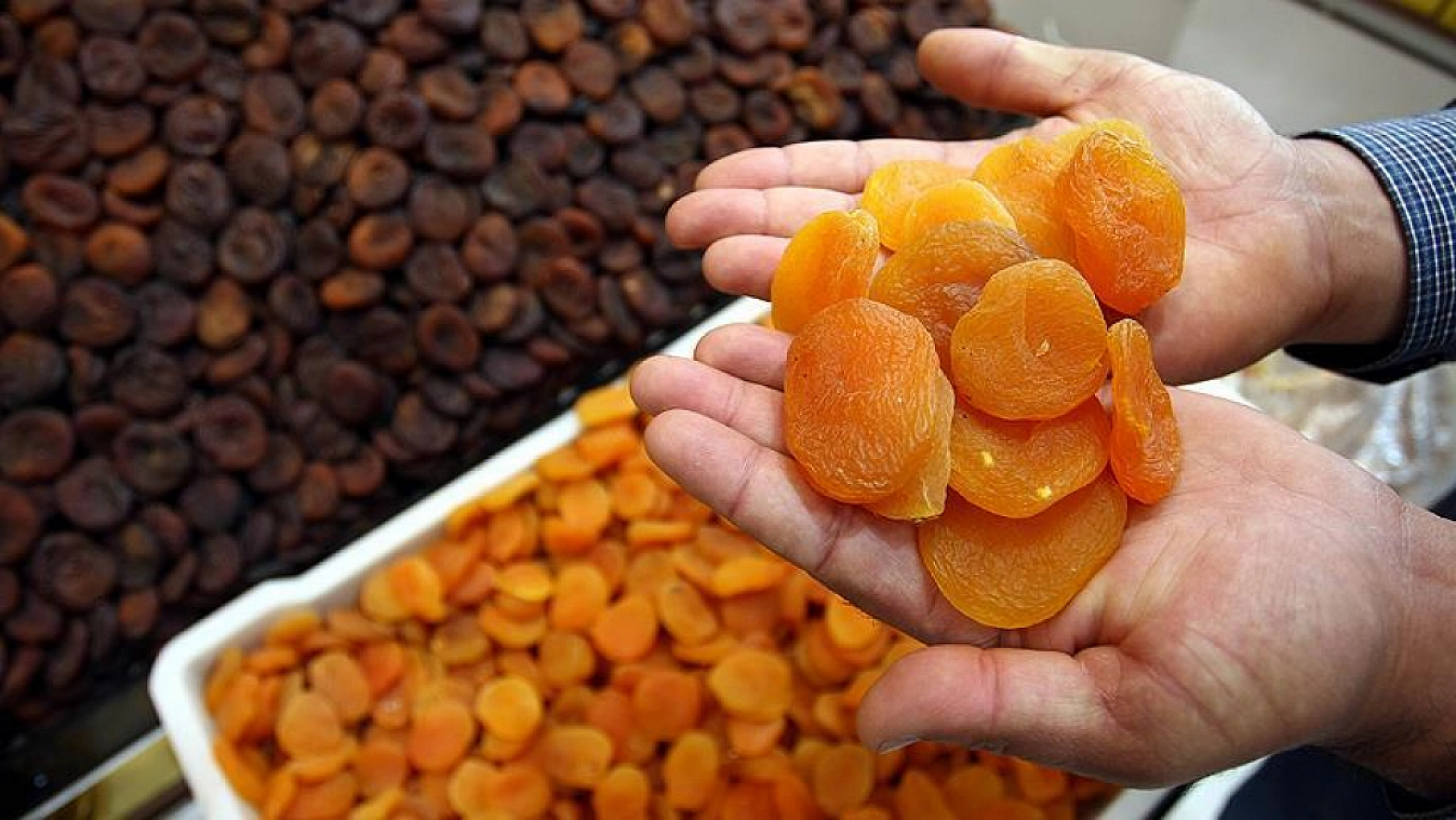 Kuru kayısıda ihracat arttı, gelir azaldı: birim fiyatları yüzde 15 geriledi