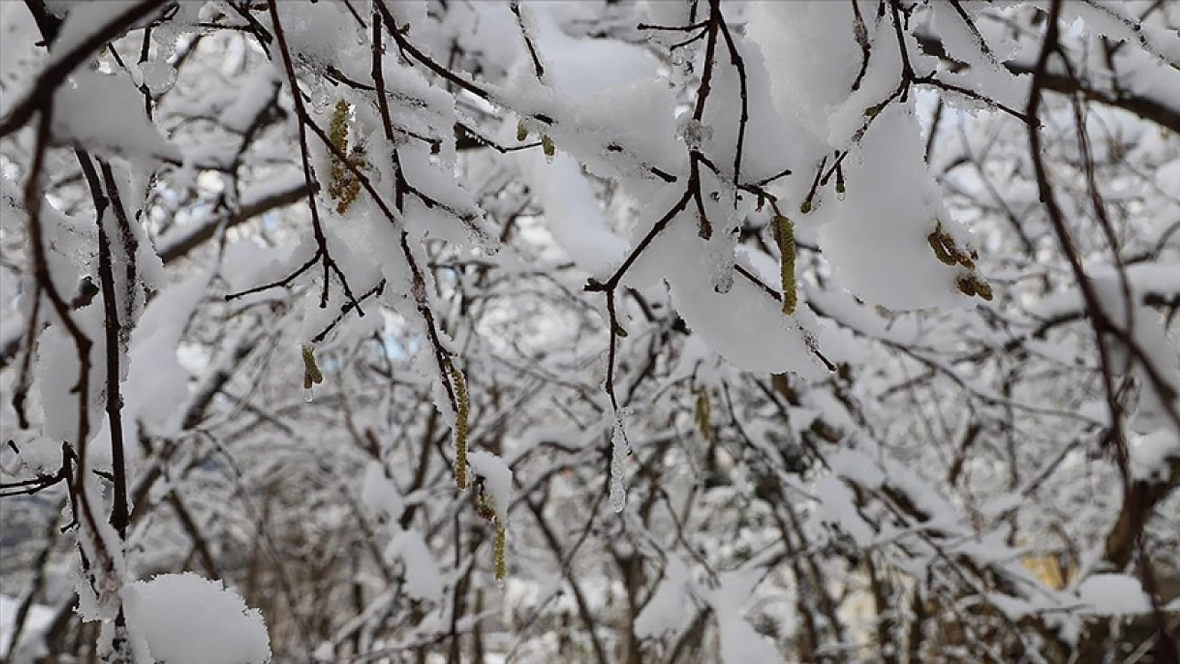 Meteoroloji'den Çiftçiye Kötü Haber: Malatya'da Zirai Don Alarmı!
