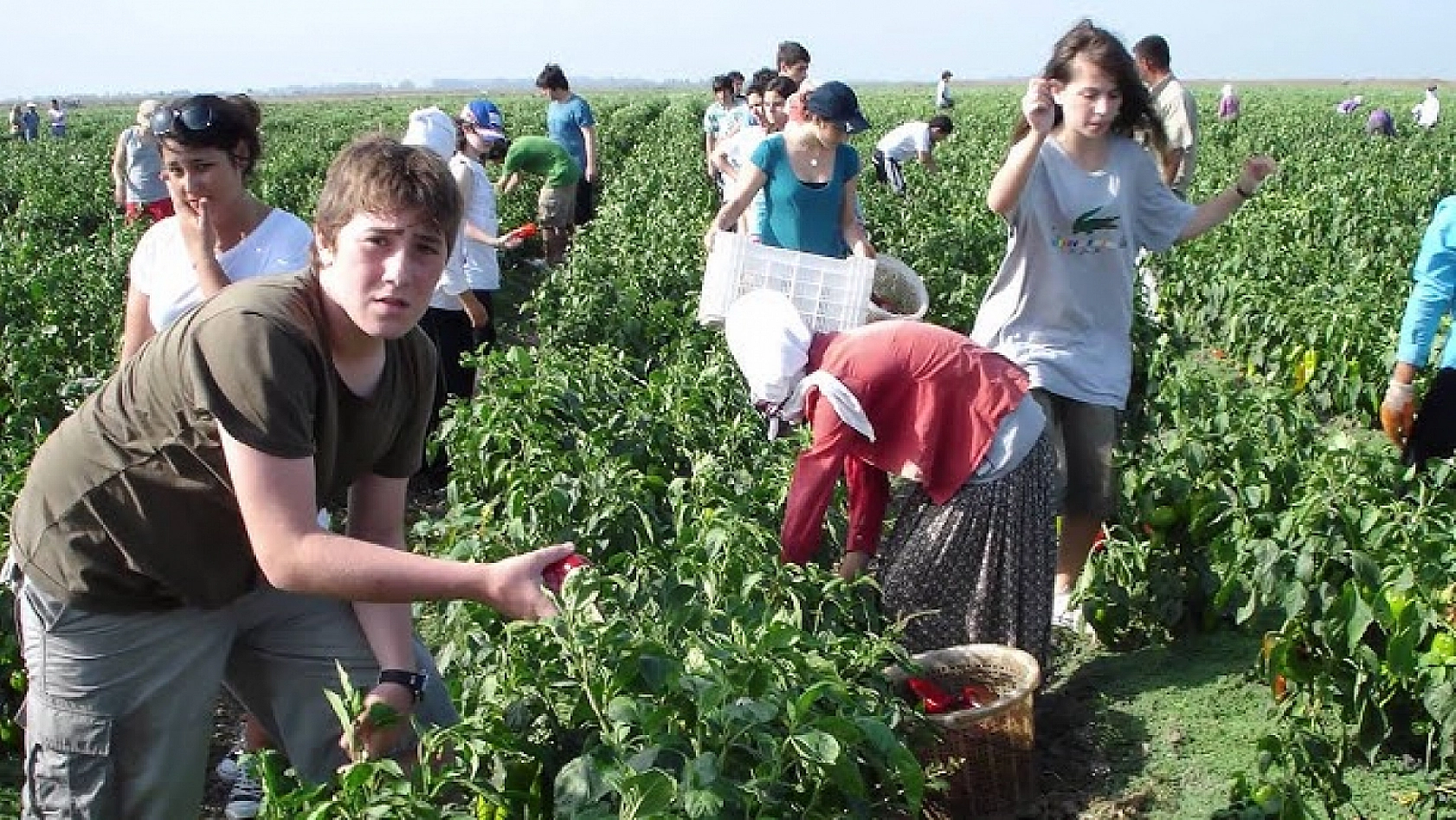 İnönü Üniversitesi'nde Araştırmacı Çok Yayın Yapan Yok! MTÜ Gelişiyor!