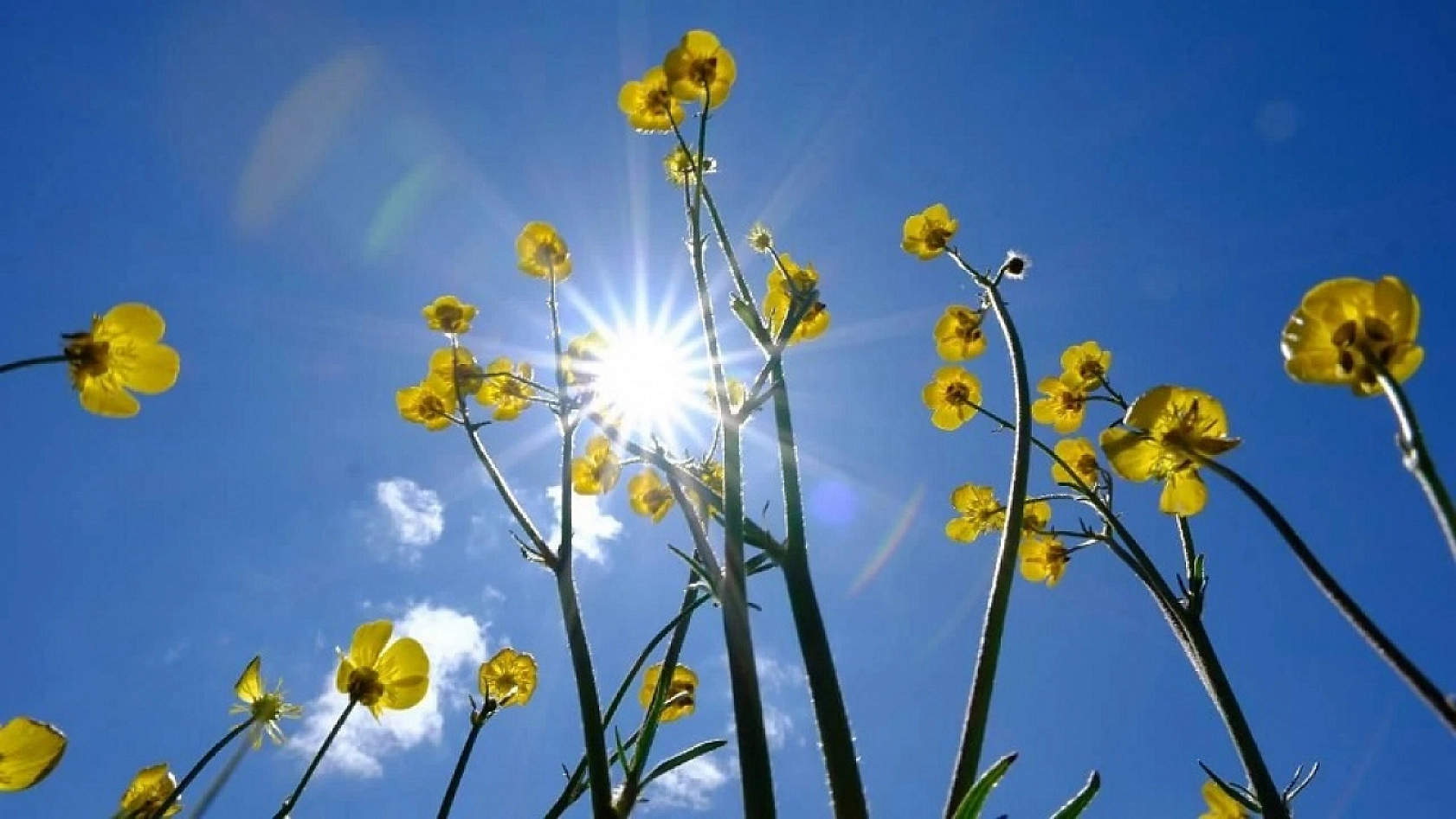 Malatya'da hava nasıl olacak? İşte 17 Temmuz 2025 Meteoroloji hava durumu tahminleri…