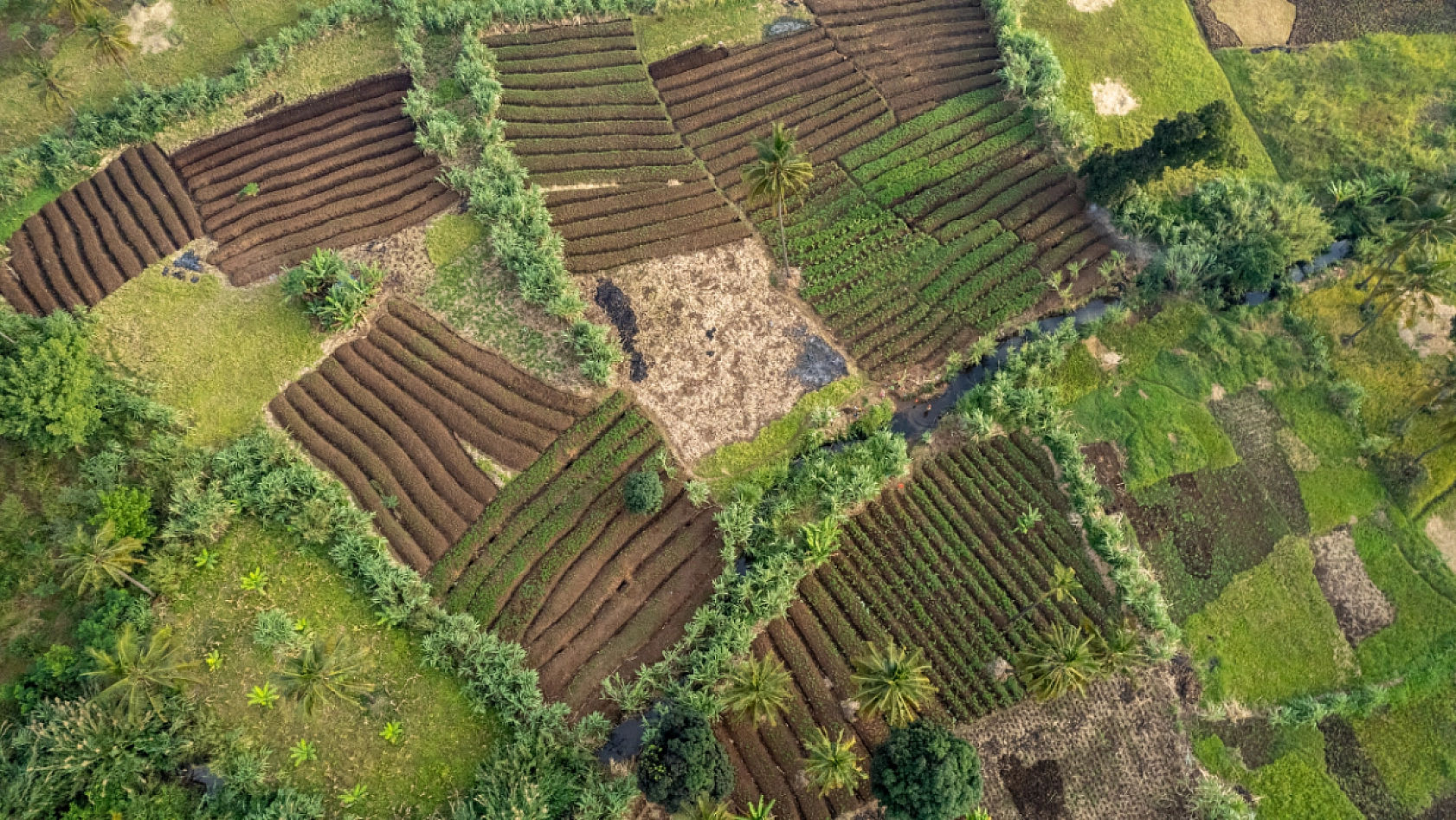 'İlk Evim Arsa Projesi' Başlıyor: İmar Planı 30 Gün Boyunca Askıda