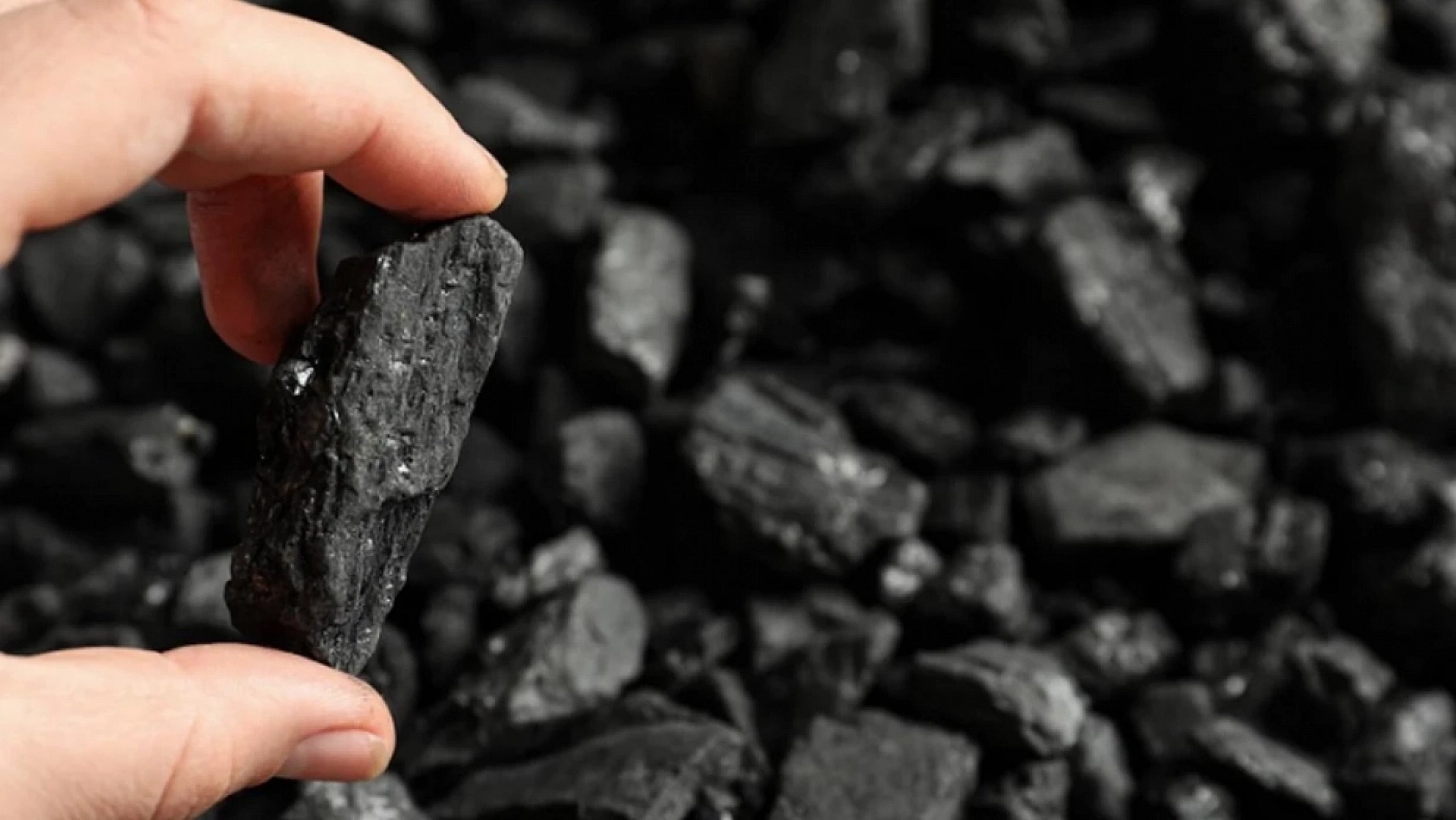 Malatya'da Dağıtılmaya Başlandı! Her Aileye 50'şer Torba Verilecek!