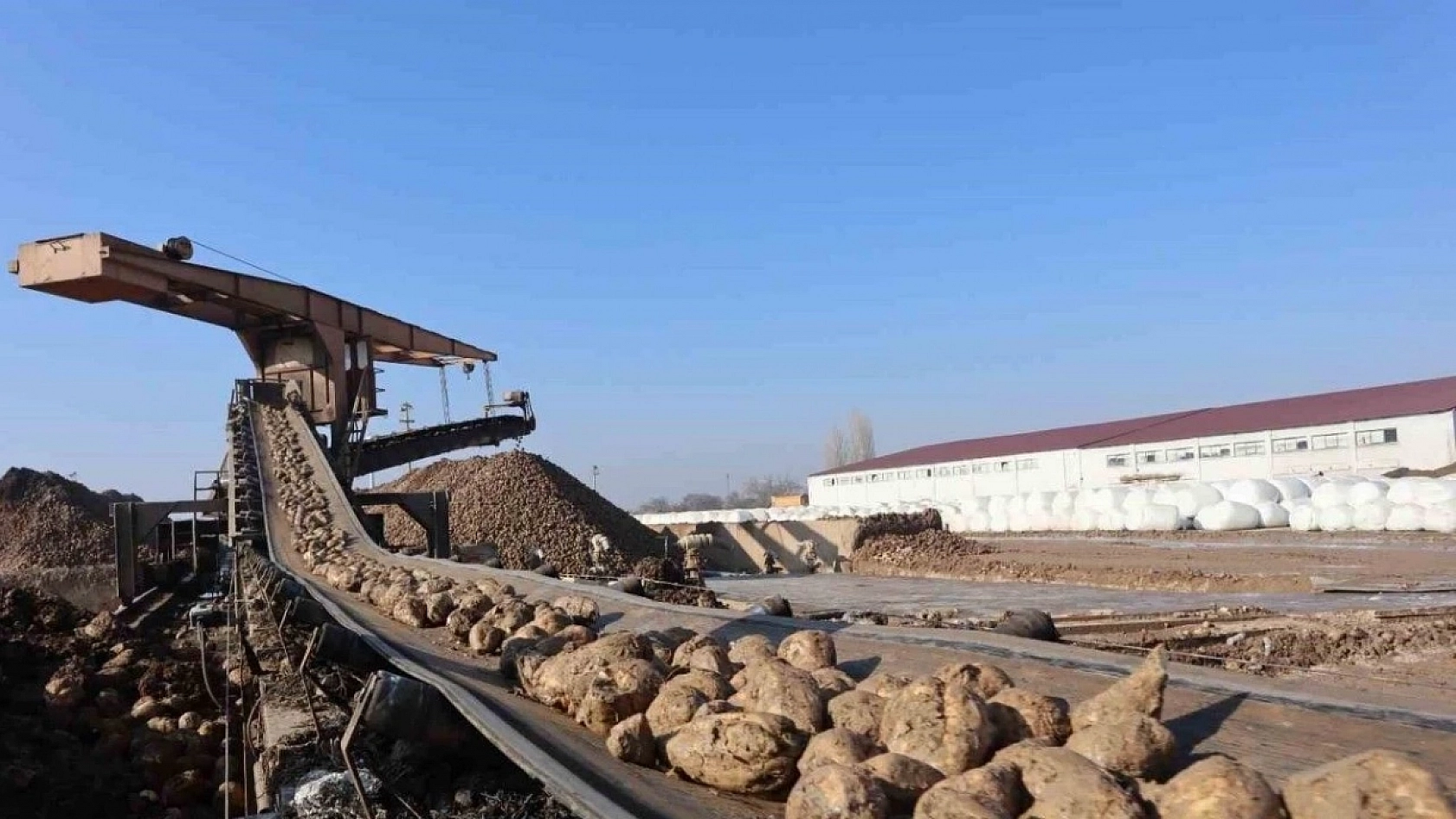 Malatya'da Şaşırtan Atama: Önce Atadılar, Bir Yıl Geçmeden Geri Aldılar!