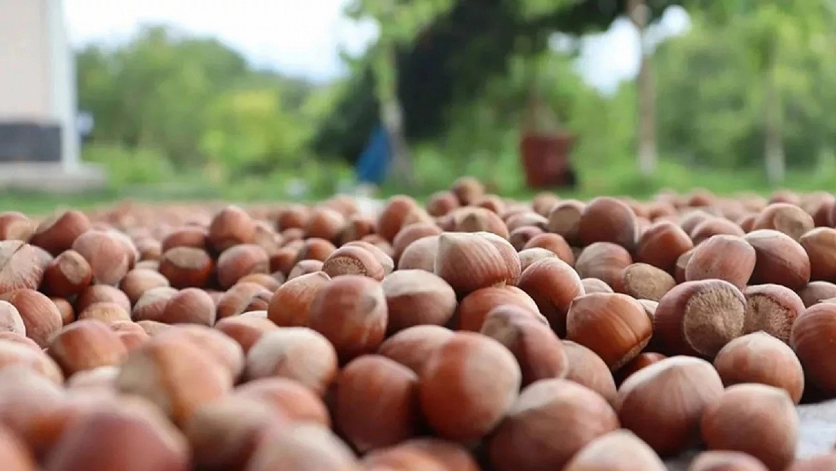 Türkiye 19 milyar 991 milyon doları gördü