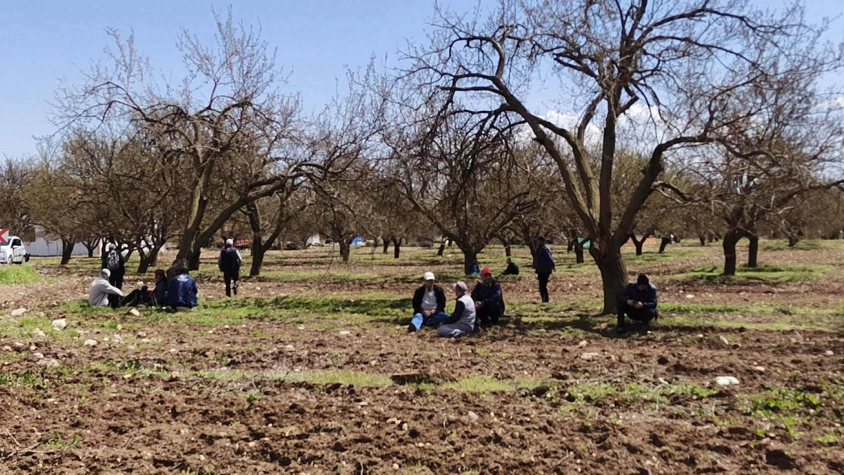 Malatya'da saha araştırması yapılacak: Kayısının kaderi 14 mayısta belli olacak.. 3 Ayda bir rapor sunulacak....