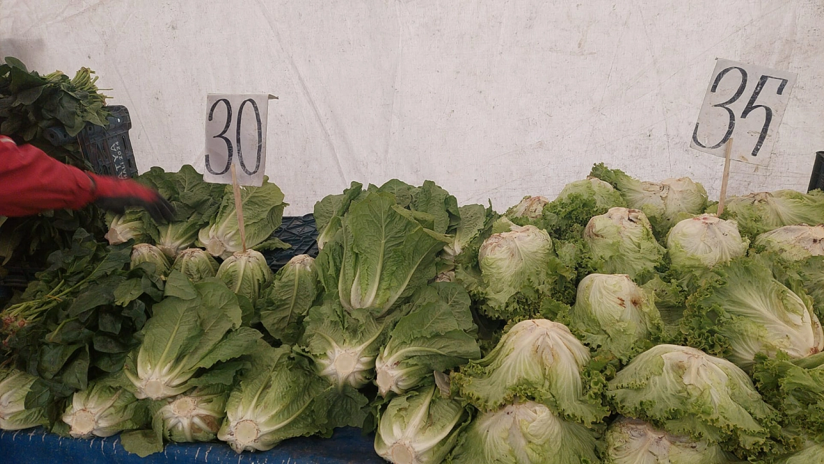 Soğuk hava pazarı vurdu! Vatandaş uğramaz oldu!