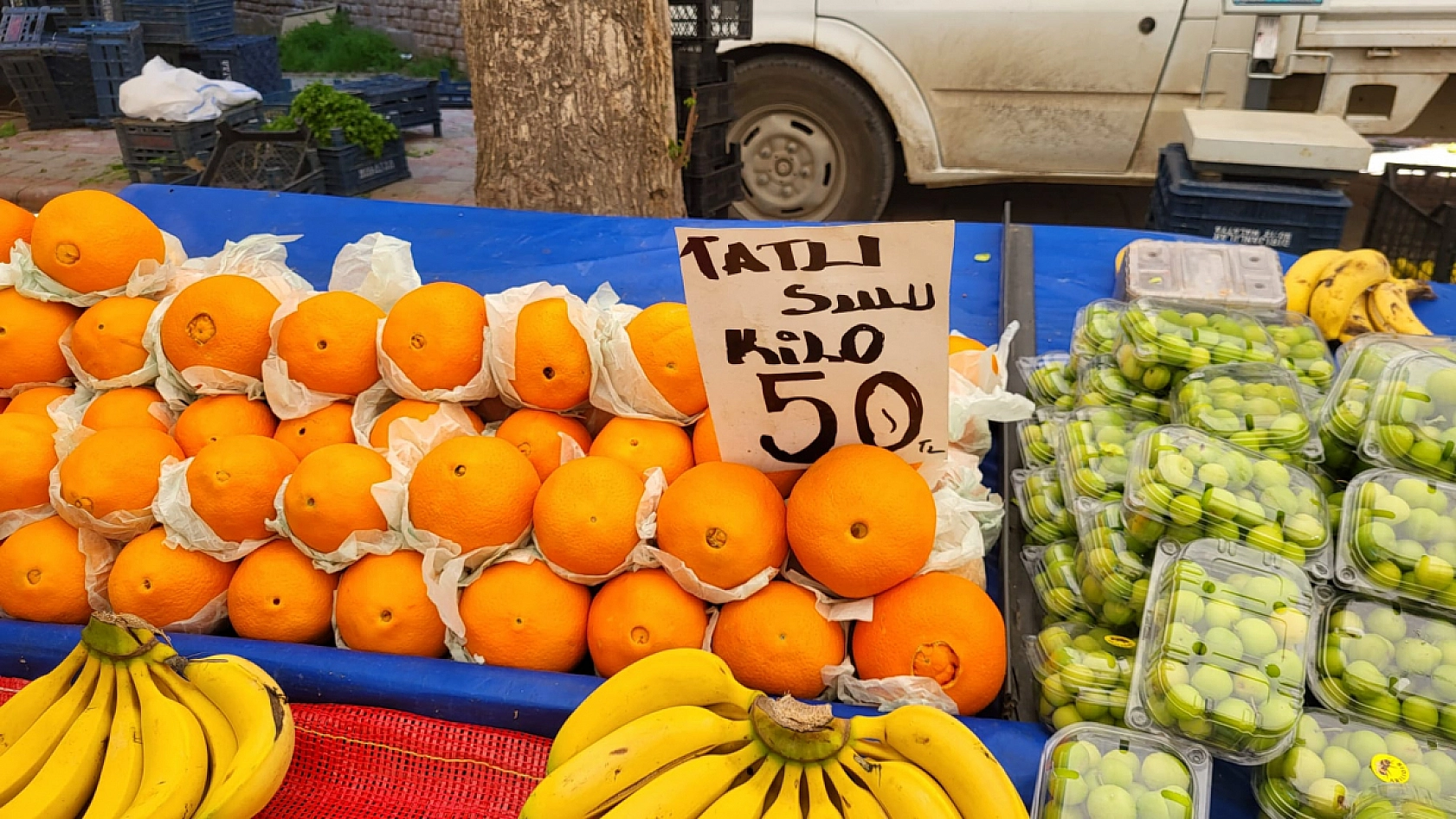 Geçen hafta yanına yaklaşılmıyordu: Pazardaki fiyatı 200 liradan 40 liraya düştü!