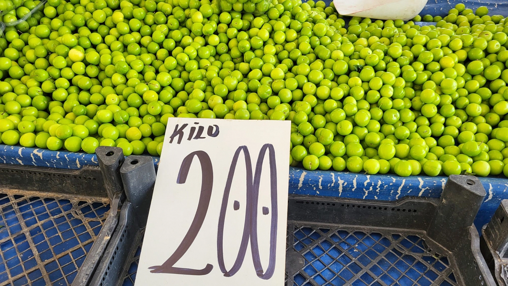 Geçen hafta yanına yaklaşılmıyordu: Pazardaki fiyatı 200 liradan 40 liraya düştü!
