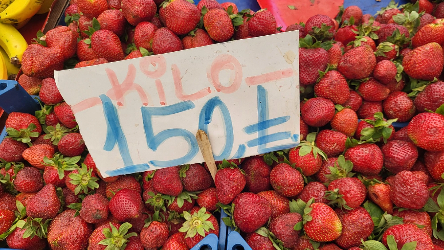 Malatya'da pazar fiyatları belli oldu: Peki fiyatlar nasıl? İşte güncel sebze-meyve fiyatı...