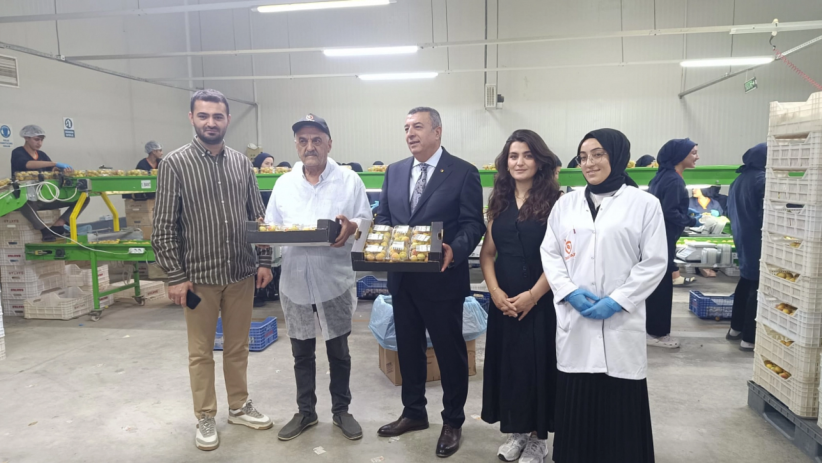 Dünyanın tercihi Malatya kayısısı! Bu yıl kalite de gelir de çok yüksek olacak!