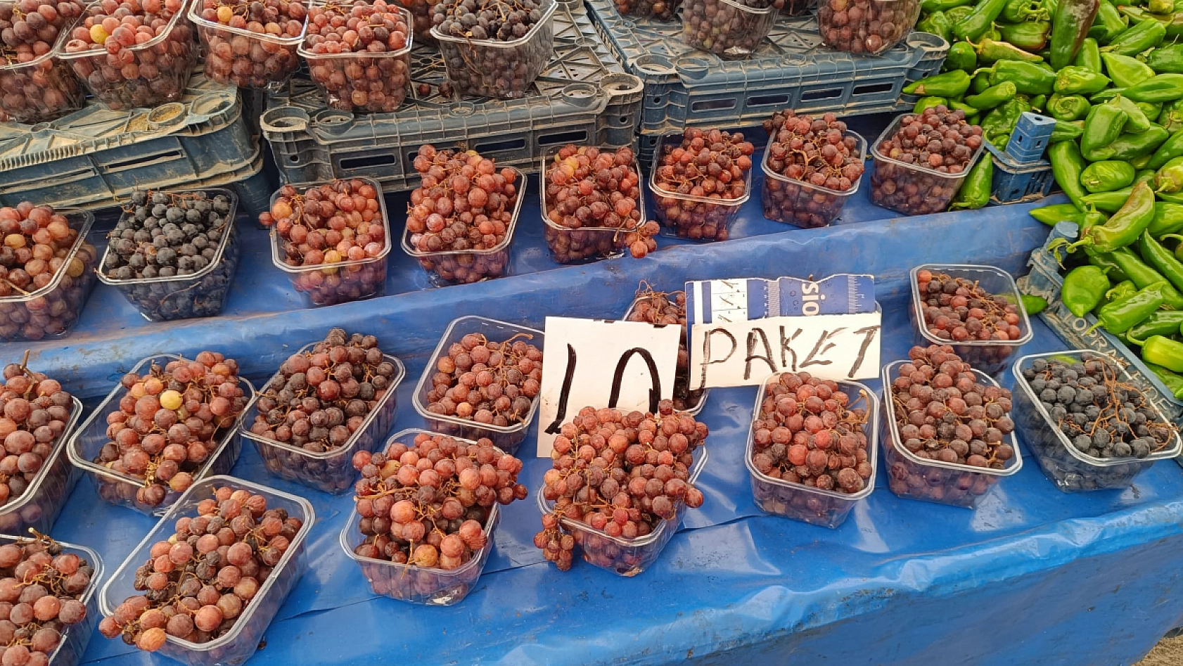 Malatya'da kayısı sezonu pazarı vurdu| Esnaf müşteri bulamıyor