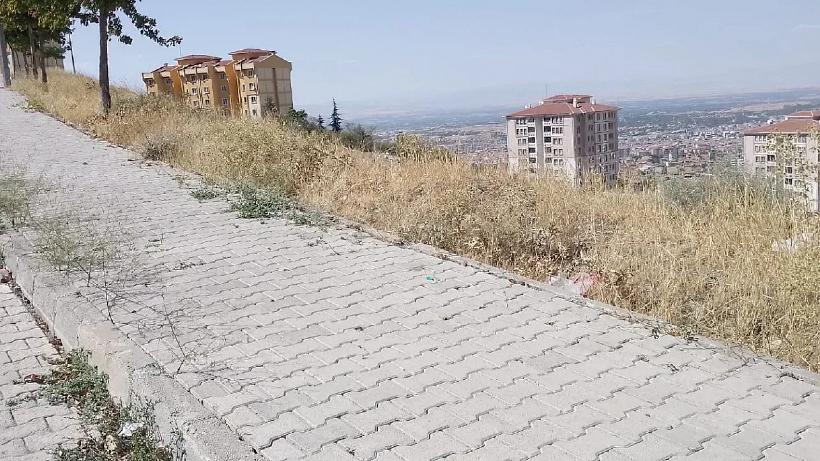 Üniversite Öğrencileri Malatya'da En Uygun Kiralık Evi Hangi İlçe-Mahallede Bulacak? İşte Detaylar…