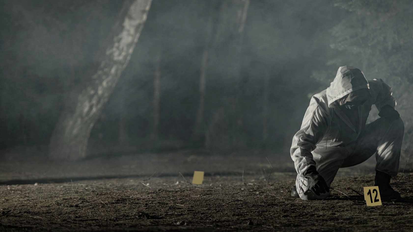 En Belalı Yaş Grubu Belli Oldu... Oranlar Açıklandı…!