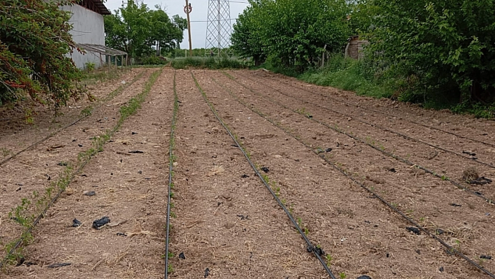Malatya'ya Destek Yağmuru: 345 Milyon TL!