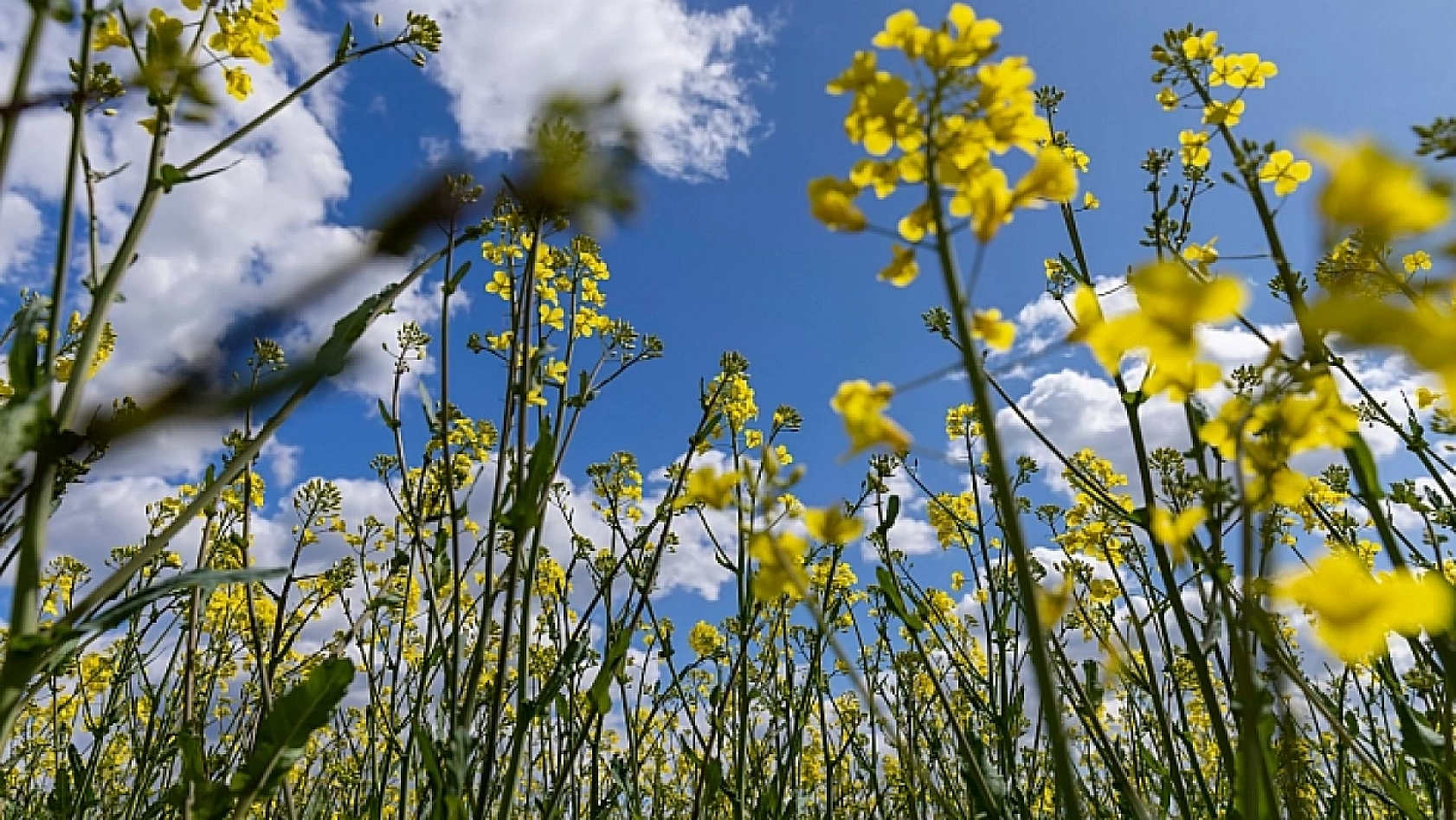 Malatya'da termometreler 29 dereceyi görecek!