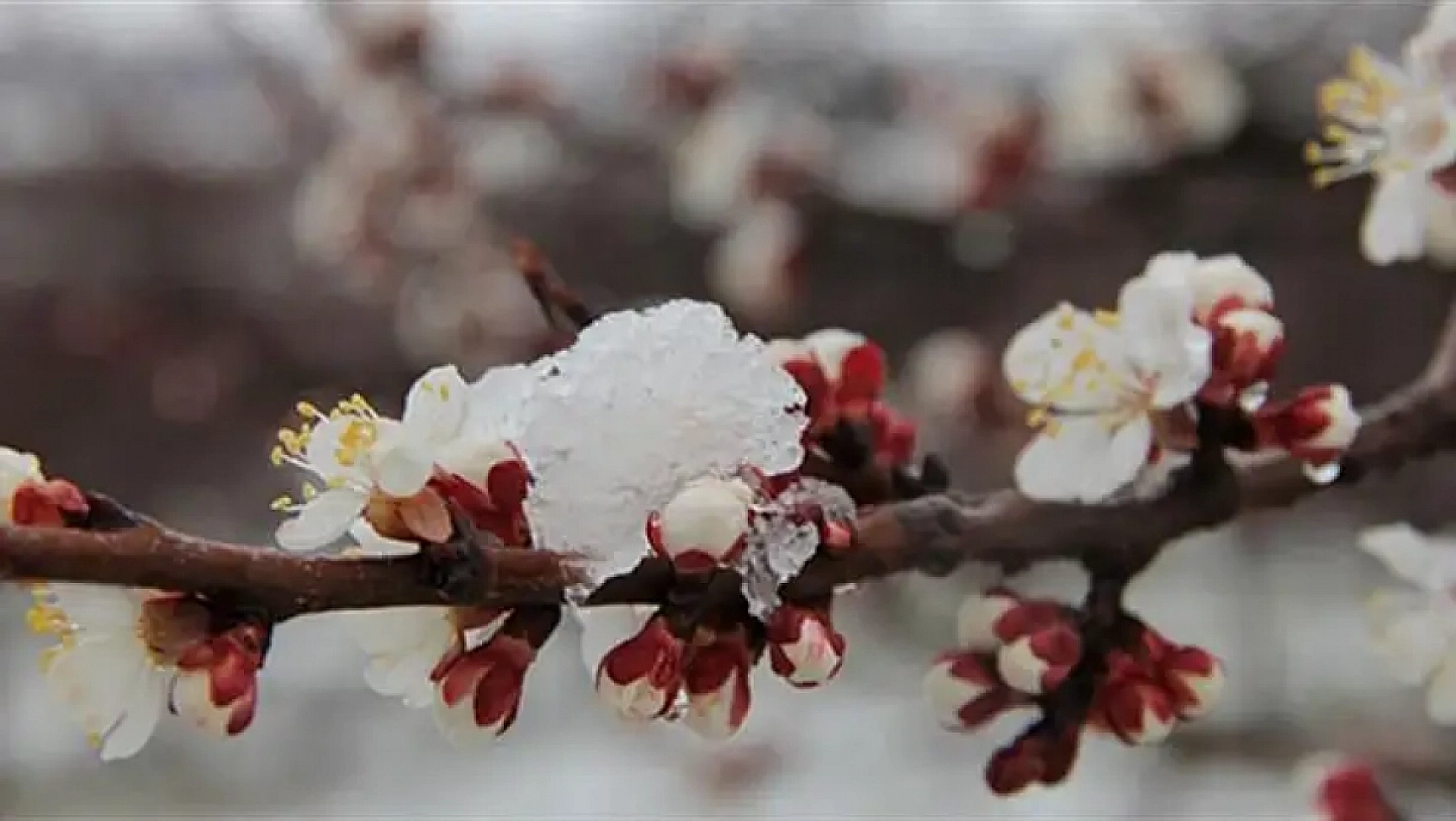 Bakan müjdeyi verdi: 11,6 milyar TL hasar tazminatı ödendi…