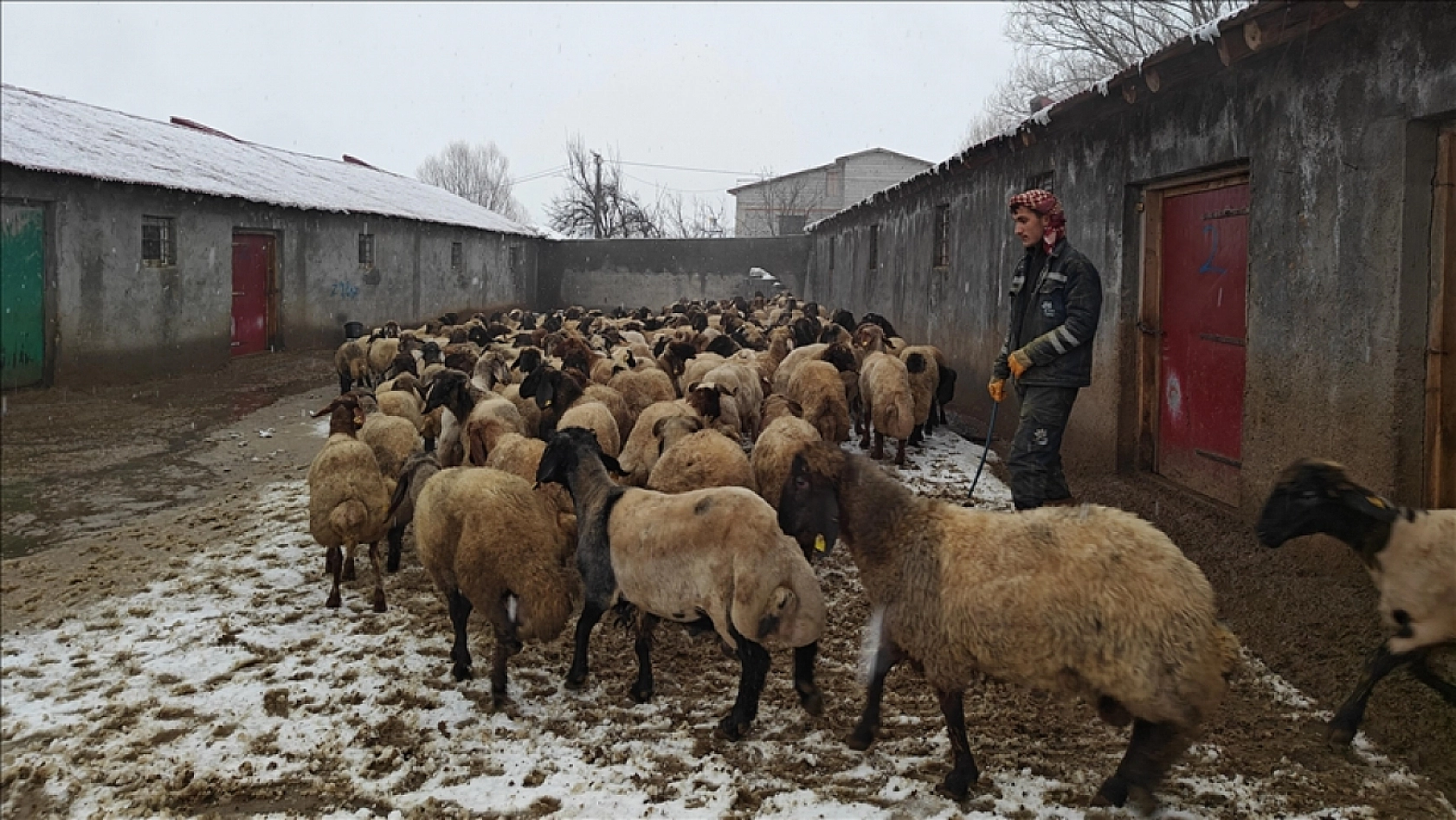Cumhurbaşkanı Müjdeli Haberi Duyurdu: Üreticiye Dev Destek Geliyor…