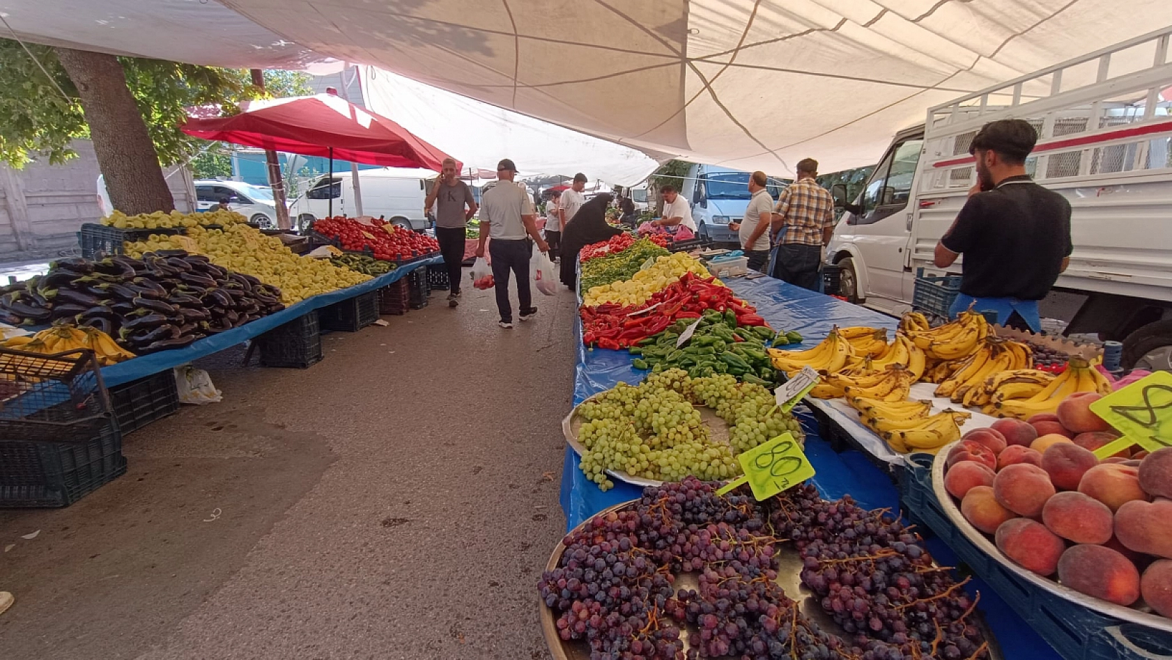 Malatya'da kayısı sezonu pazarı vurdu| Esnaf müşteri bulamıyor