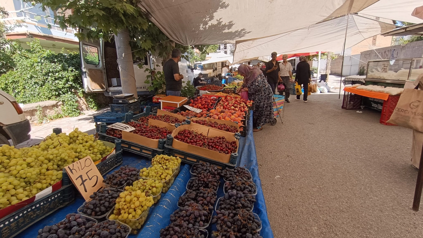 Malatya'da kayısı sezonu pazarı vurdu| Esnaf müşteri bulamıyor