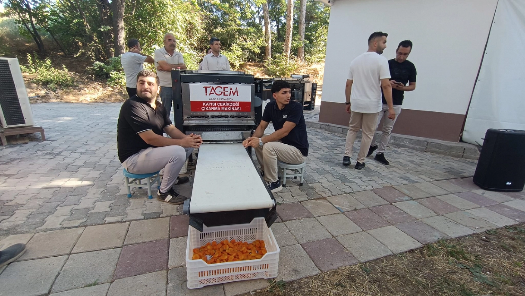 Malatya'da yerli kayısı pırtlatma makinesi görücüye çıktı