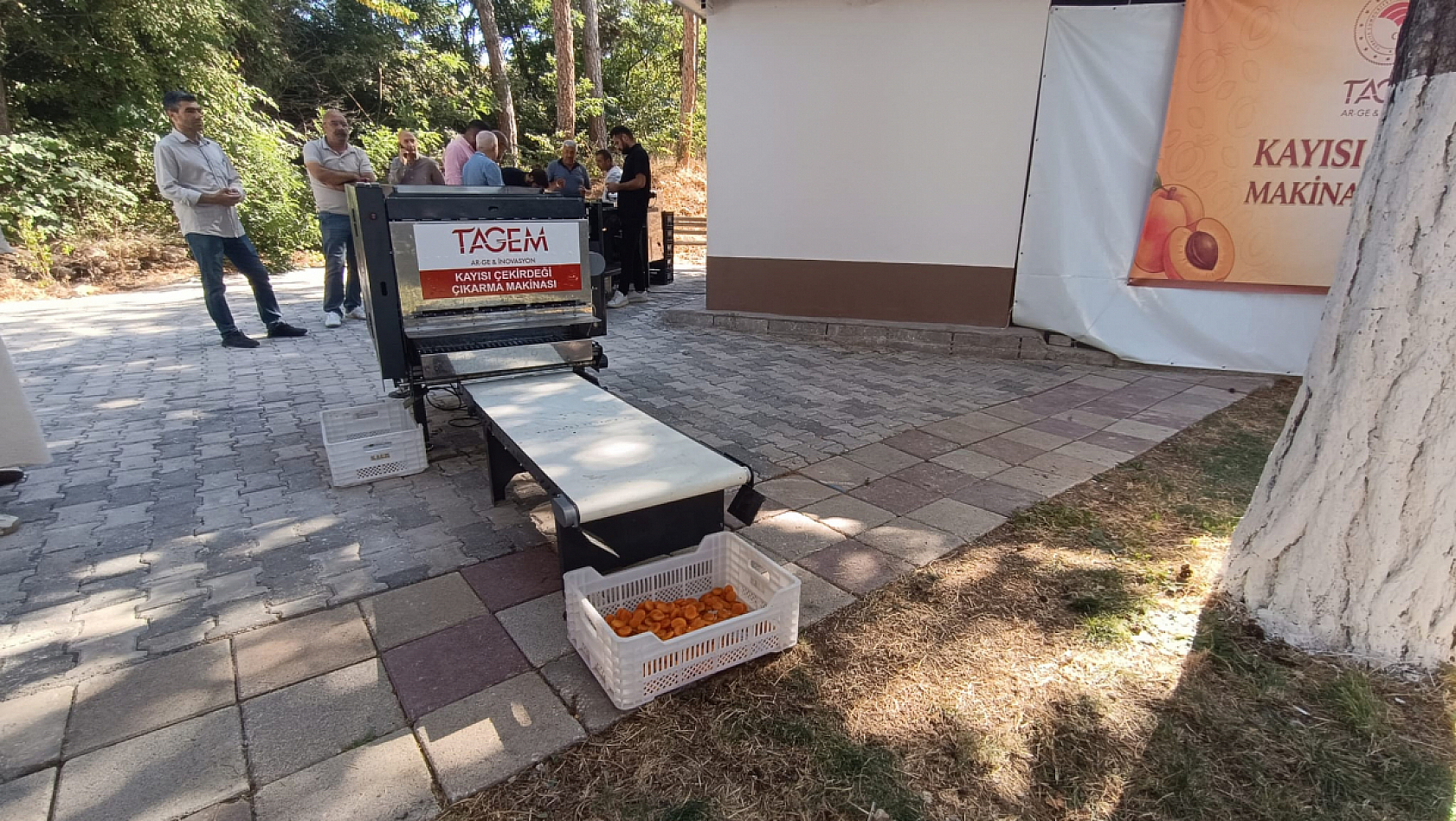 Malatya'da yerli kayısı pırtlatma makinesi görücüye çıktı
