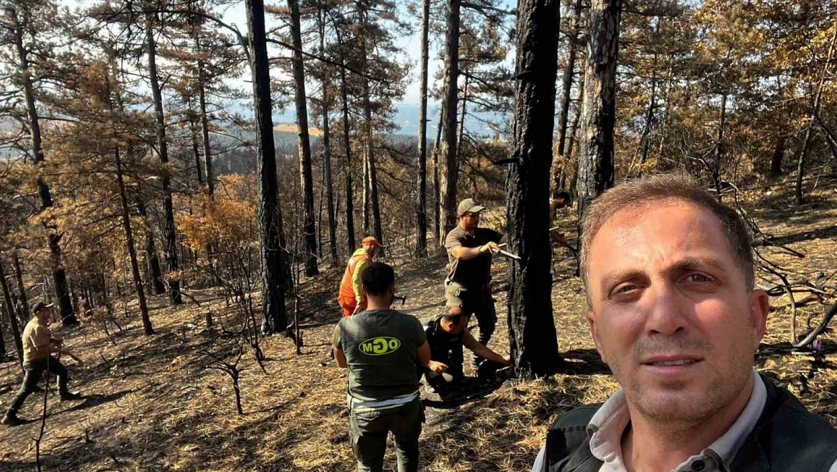 Yanan ormanlık alanlar tekrar hayata dönüyor
