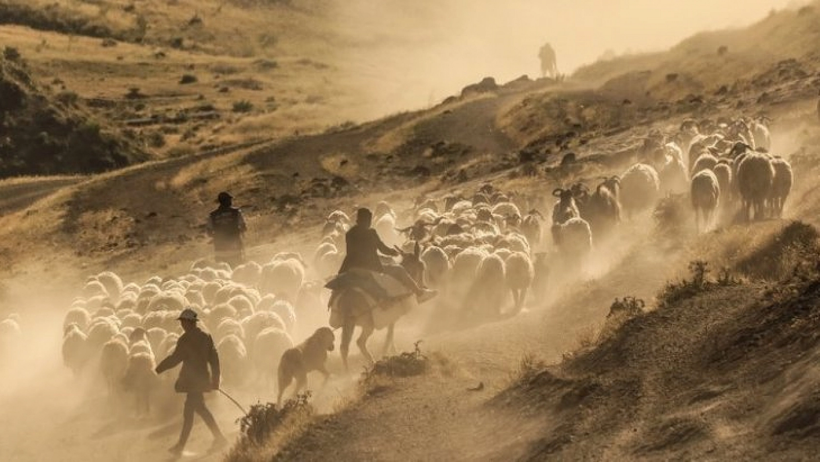 Sürülerin Nemrut Dağı'na tozlu yolculuğu