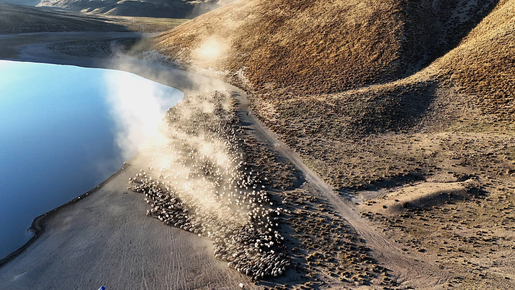 Nemrut Kalderası'nda Sürülerden Kartpostallık Su Yolculuğu