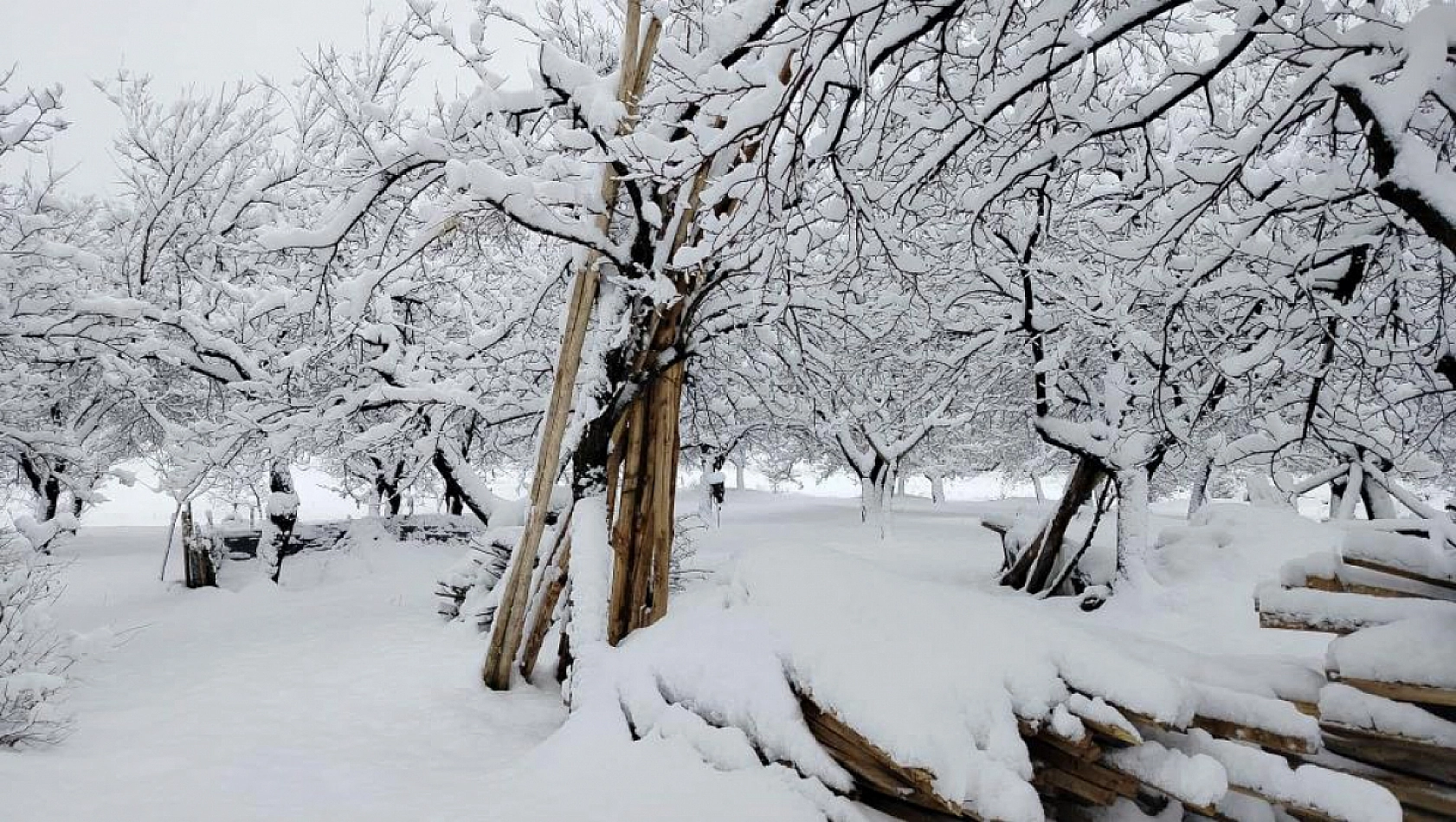 Malatya İçin Buzlanma ve Sis Uyarısı Yapıldı…