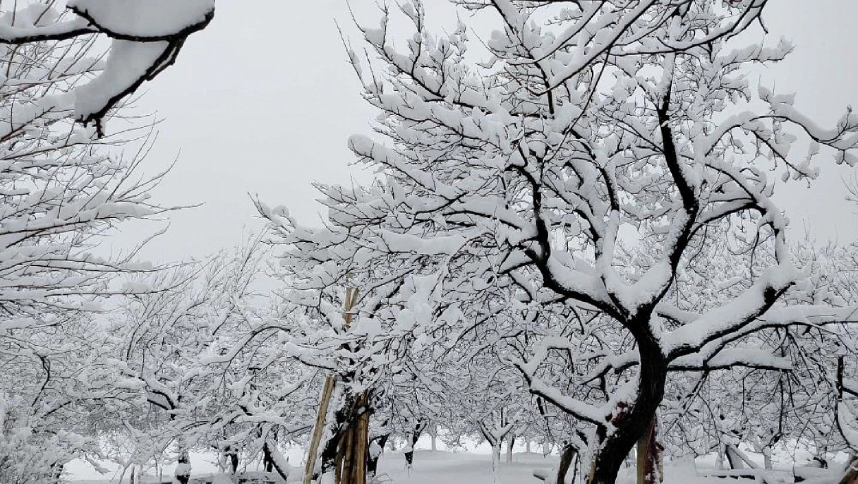 Pütürge'de Kartpostallık Görüntüler!