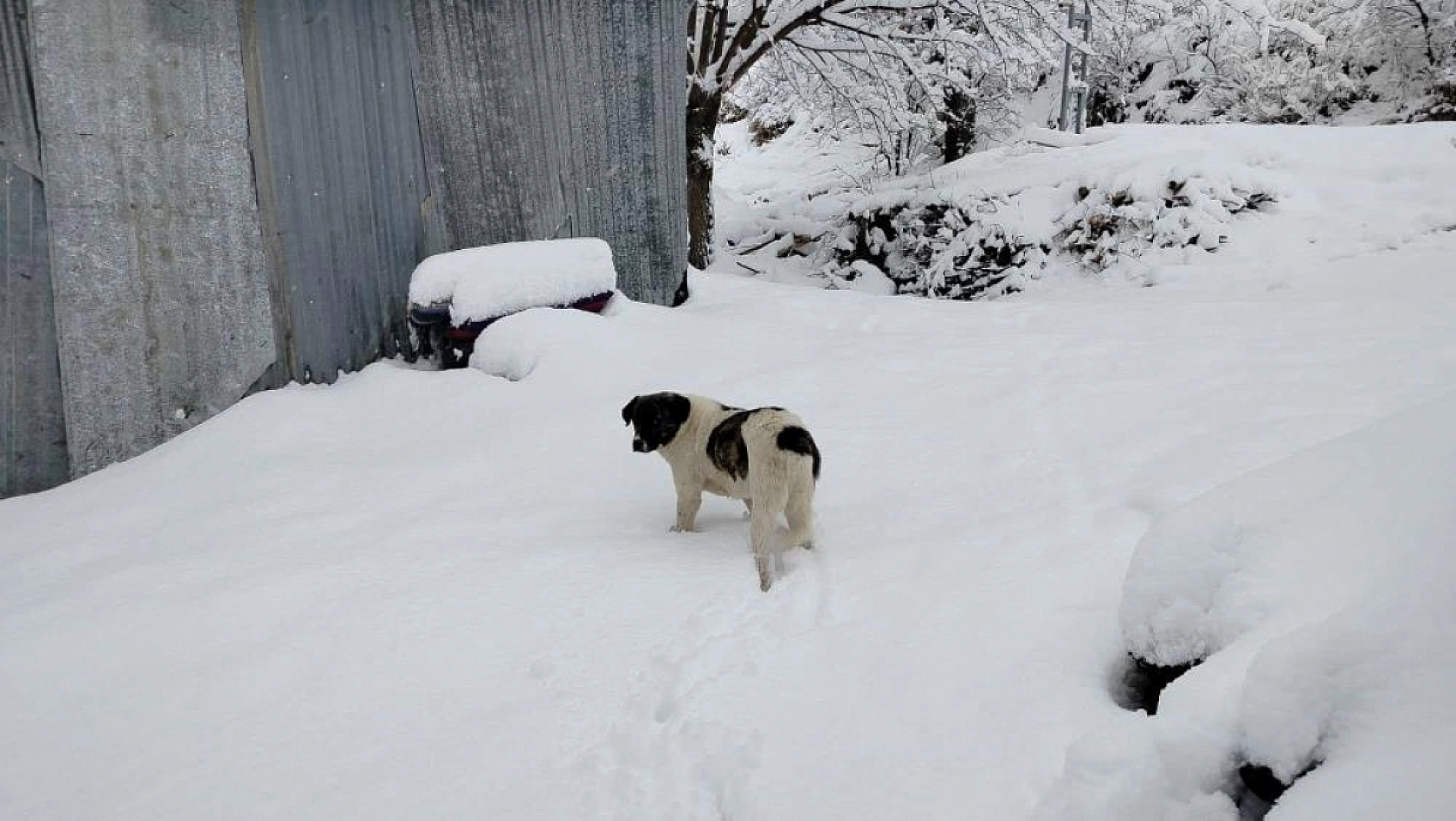 Pütürge'de Kartpostallık Görüntüler!