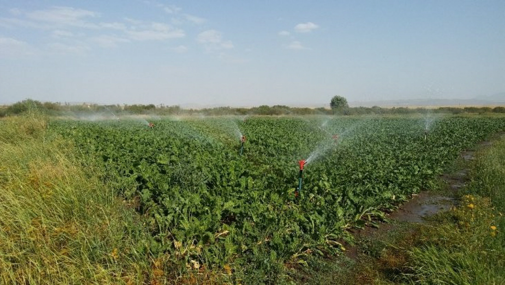 2019 Yılı bireysel sulama hibe hakkı kazanan çiftçiler açıklandı