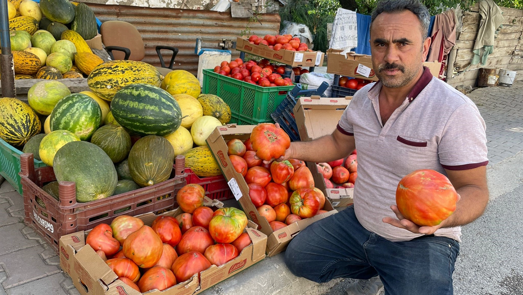 1 kiloluk domates ele avuca sığmıyor