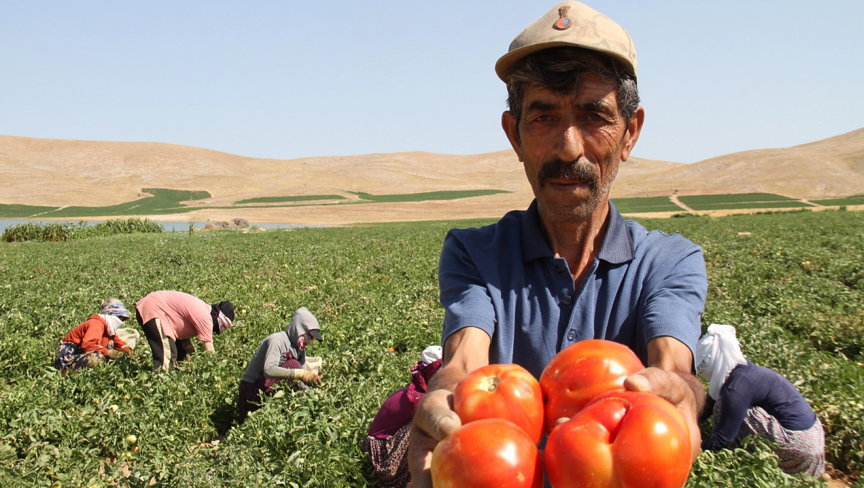 4 TL'ye satıp 20 TL'ye alıyor