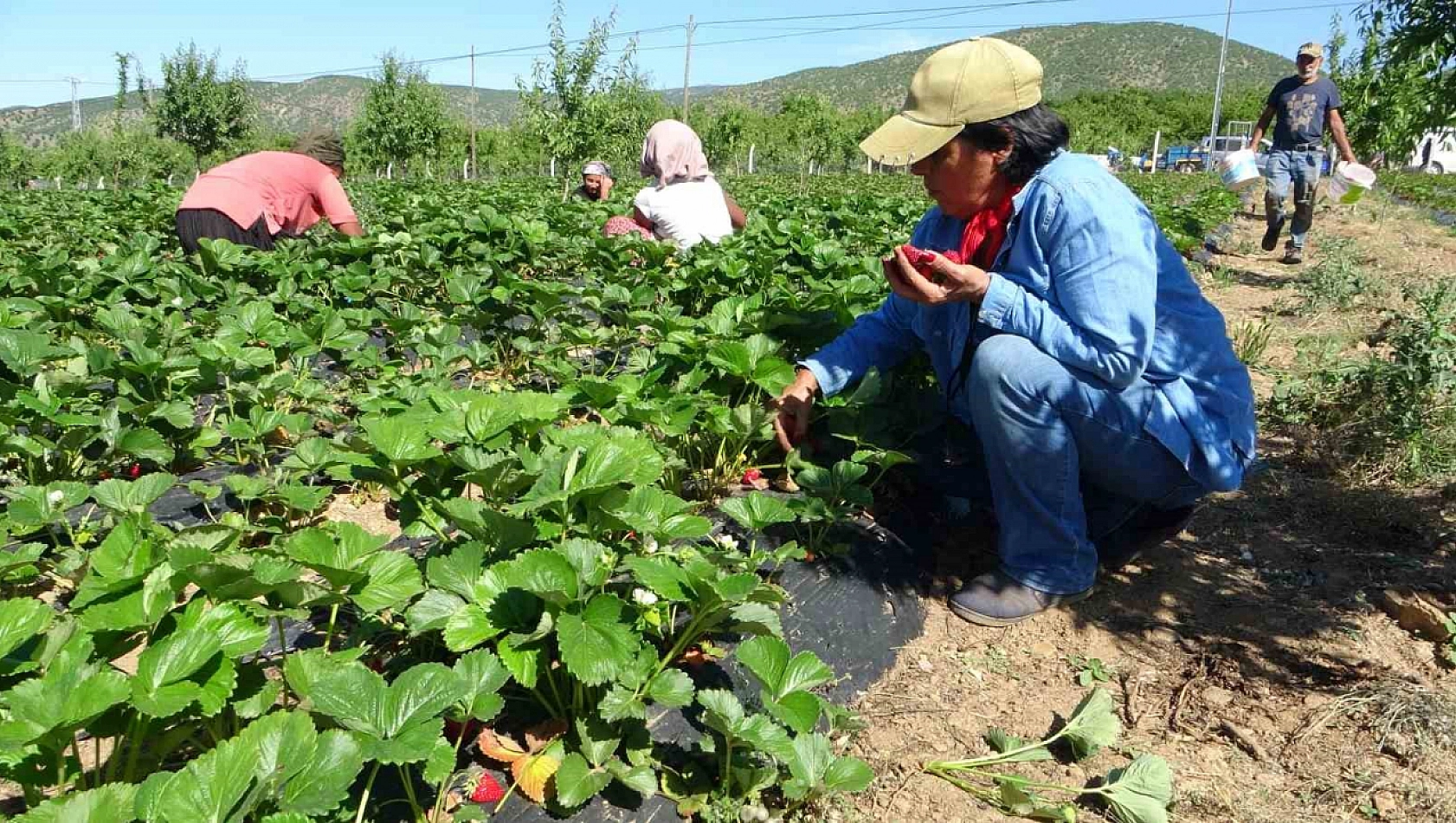 Girişimci Kadın Üretiminde Başarıya Koşuyor: 'Siparişlere Yetişemiyor'