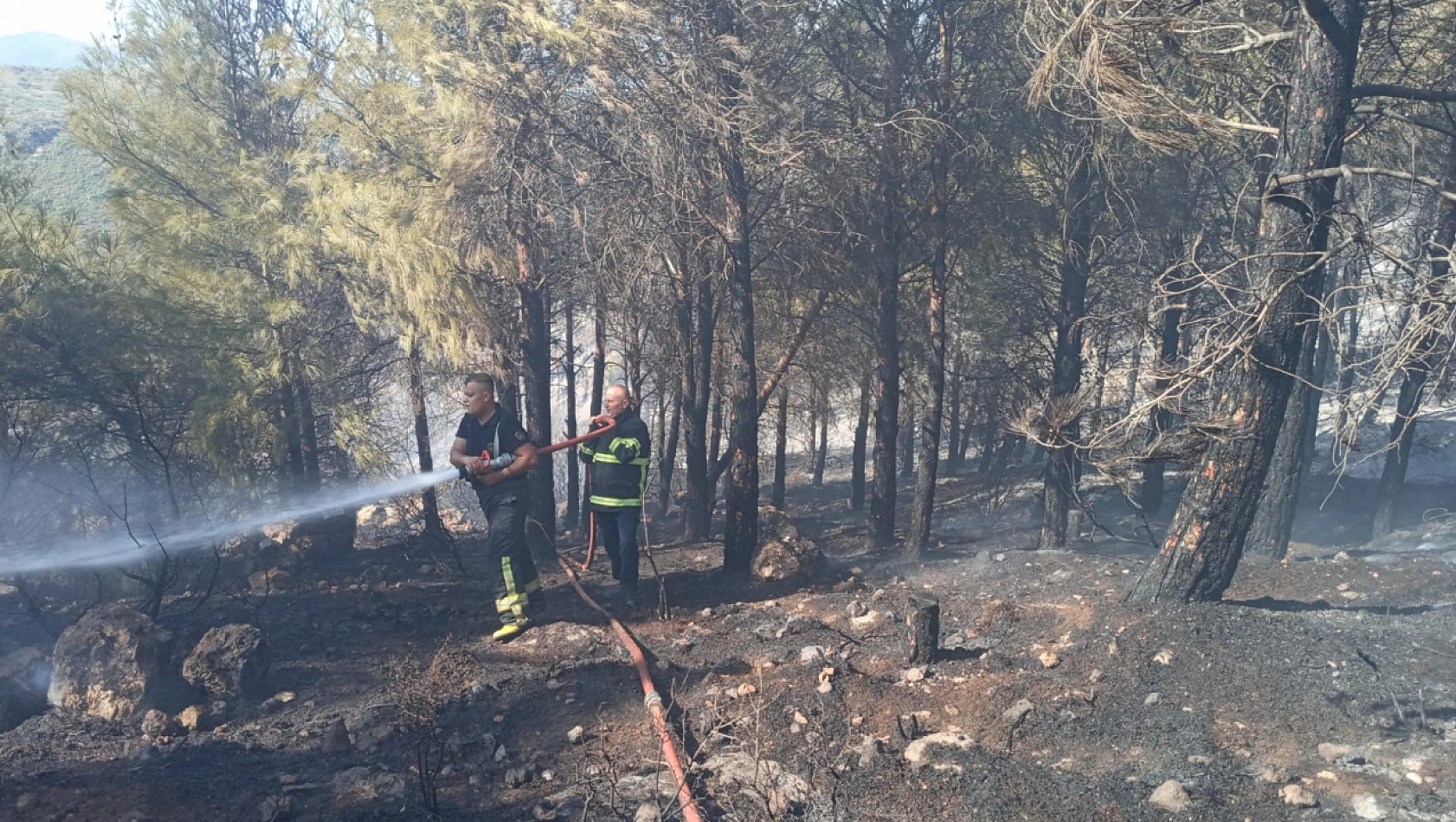 Antakya'da Orman Yangını