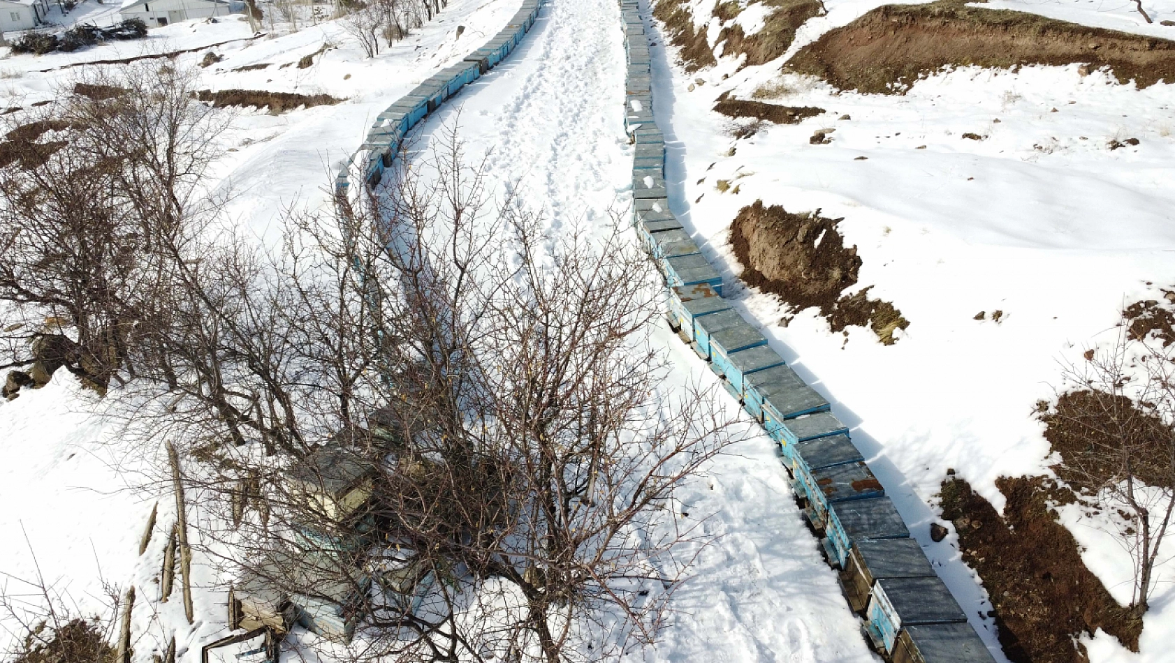 Arıcı ve besiciler yaralarını devlet desteğiyle sardı