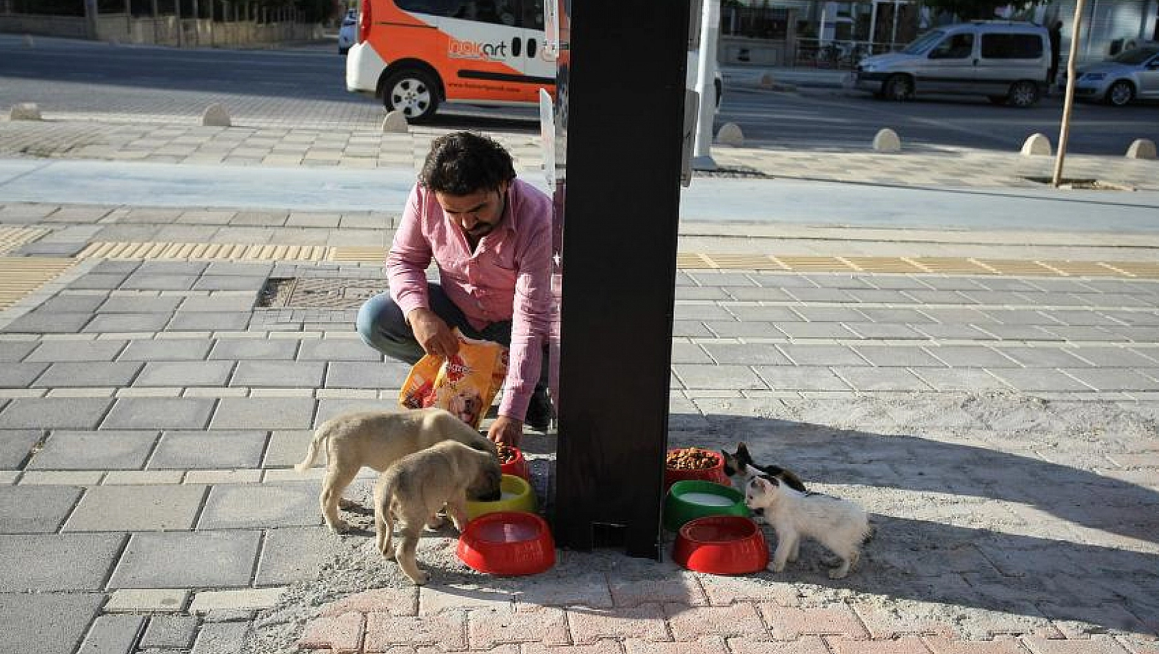 Bahşişlerle mama alınıyor