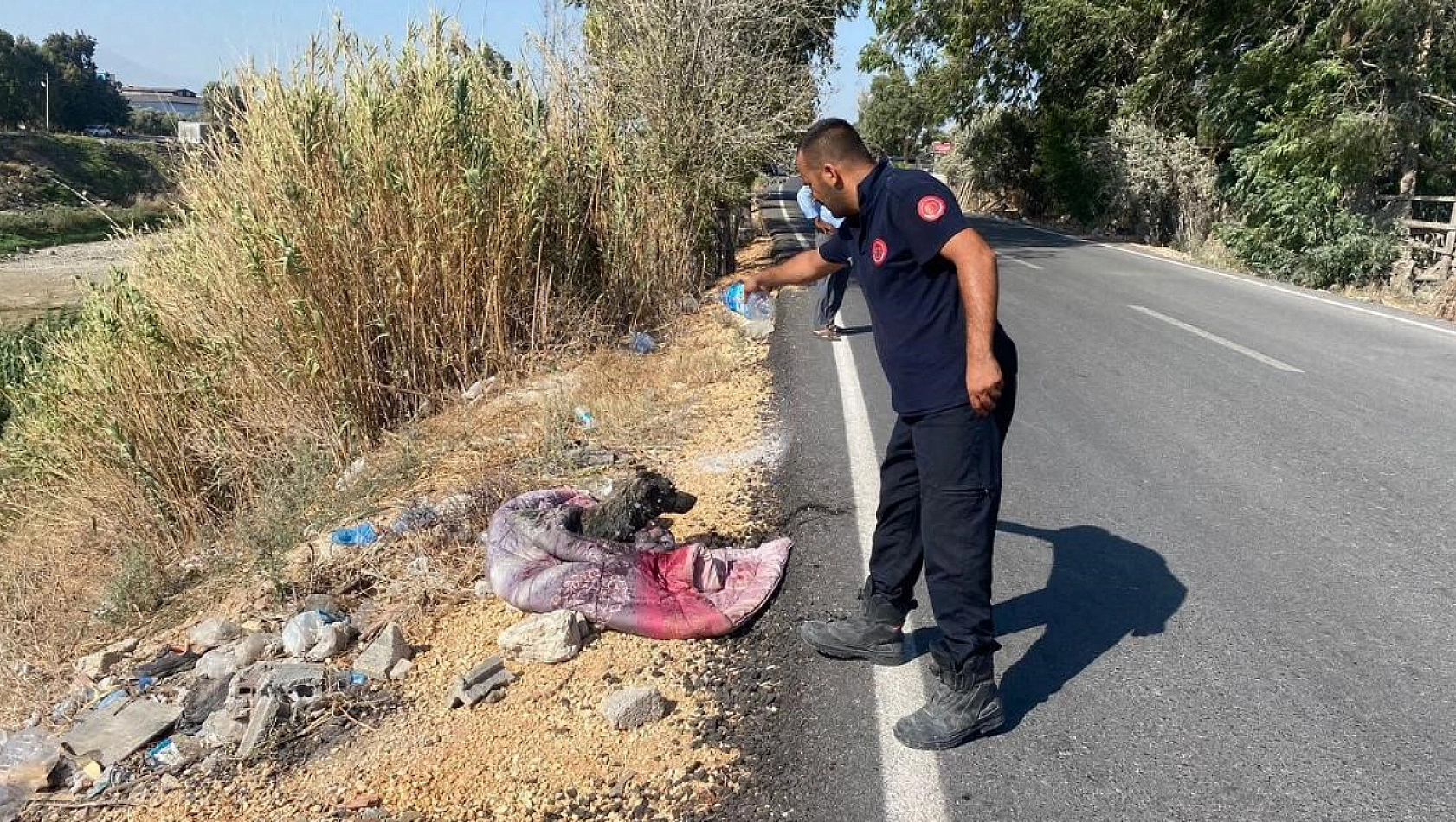 Bataklığa saplanan köpeği itfaiye kurtardı