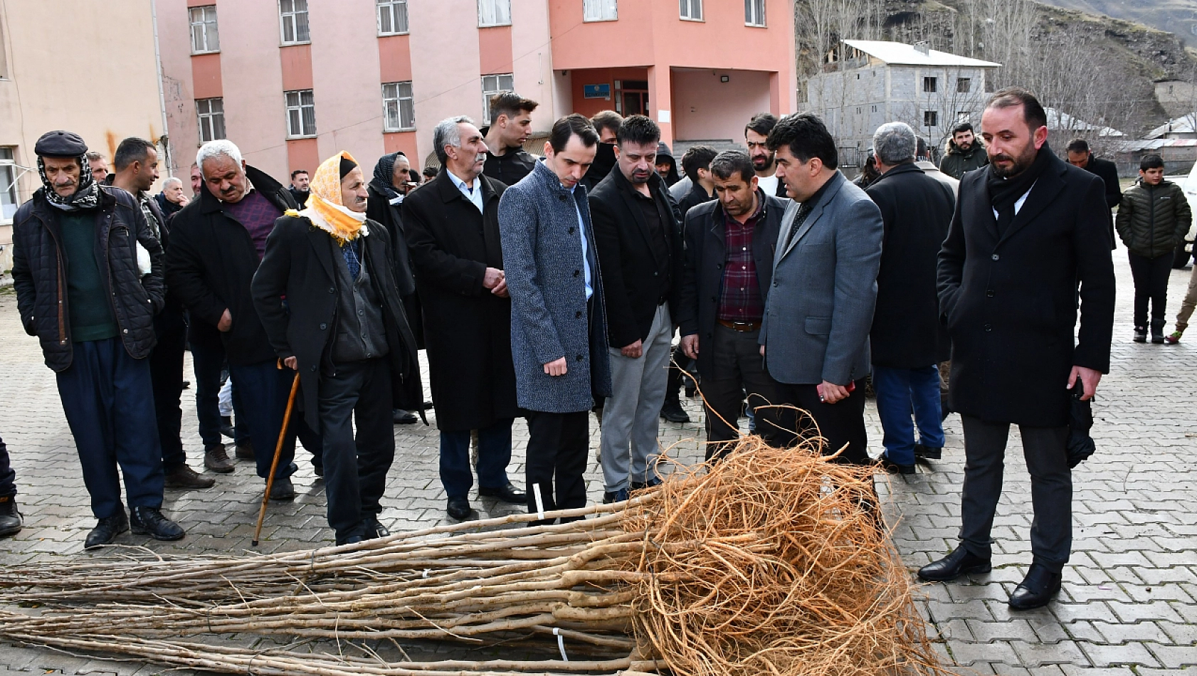 Çiftçilere fidan dağıtımı